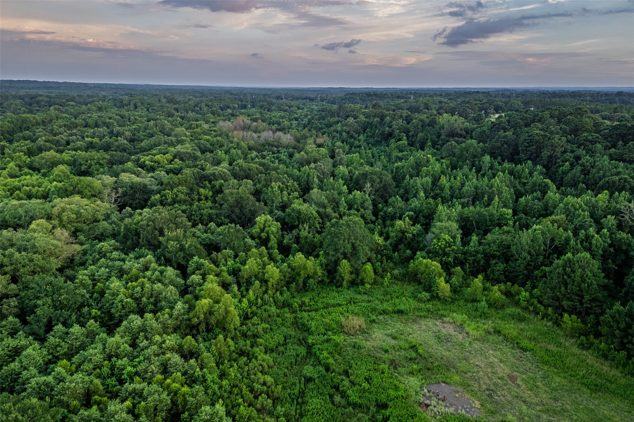 00 County Road 2138 Troup TX 75789