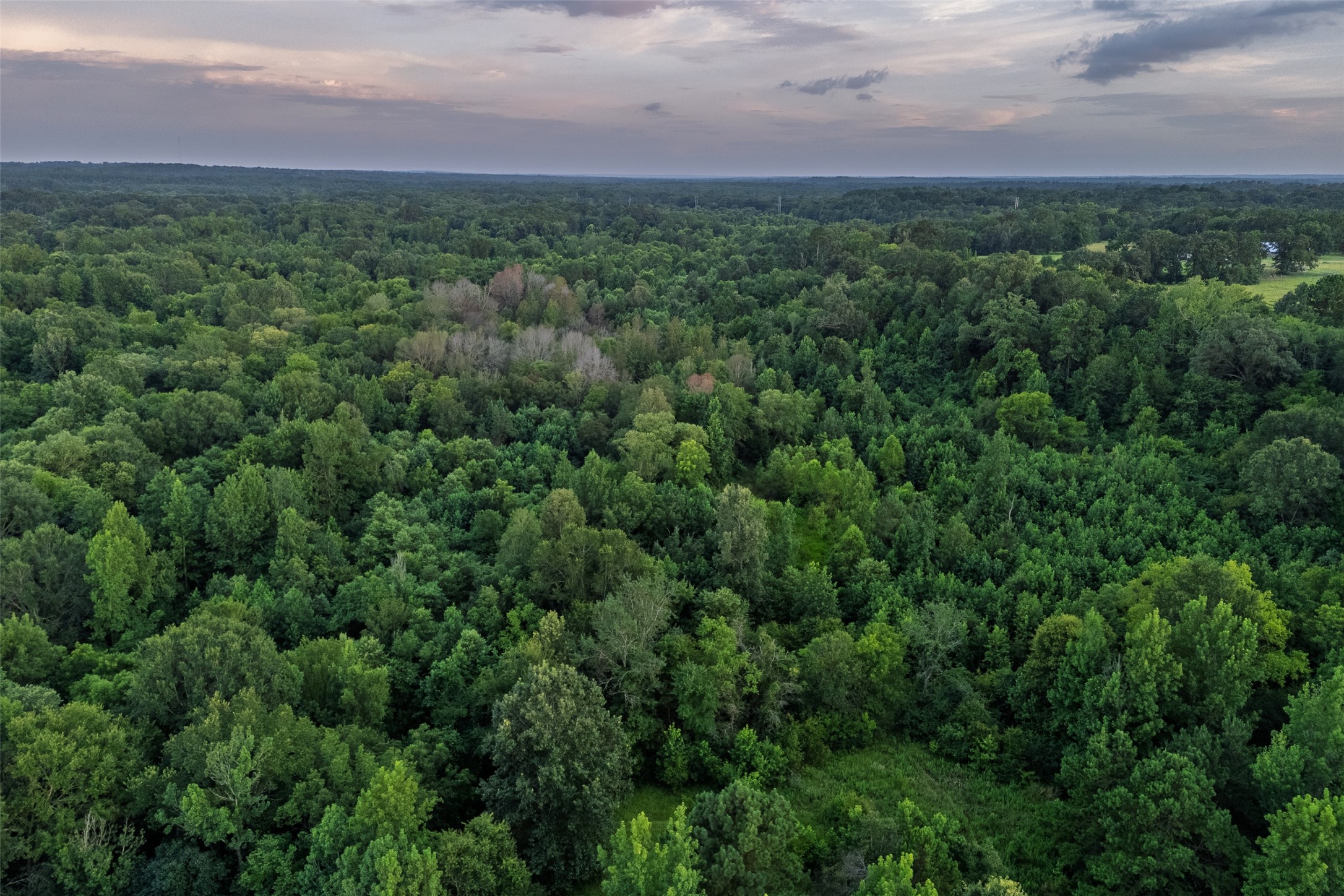 00 County Road 2138 Troup TX 75789