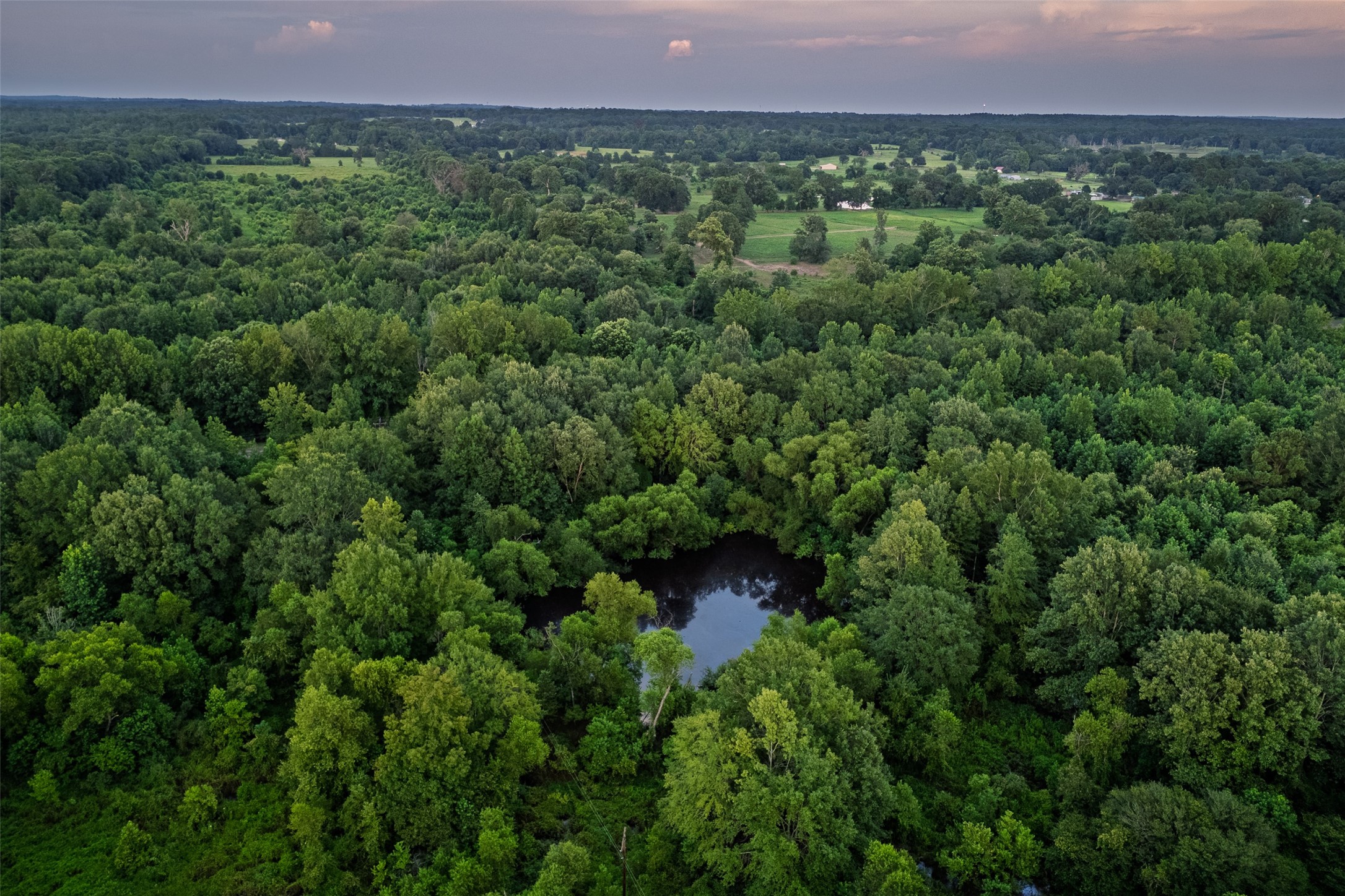 00 County Road 2138 Troup TX 75789