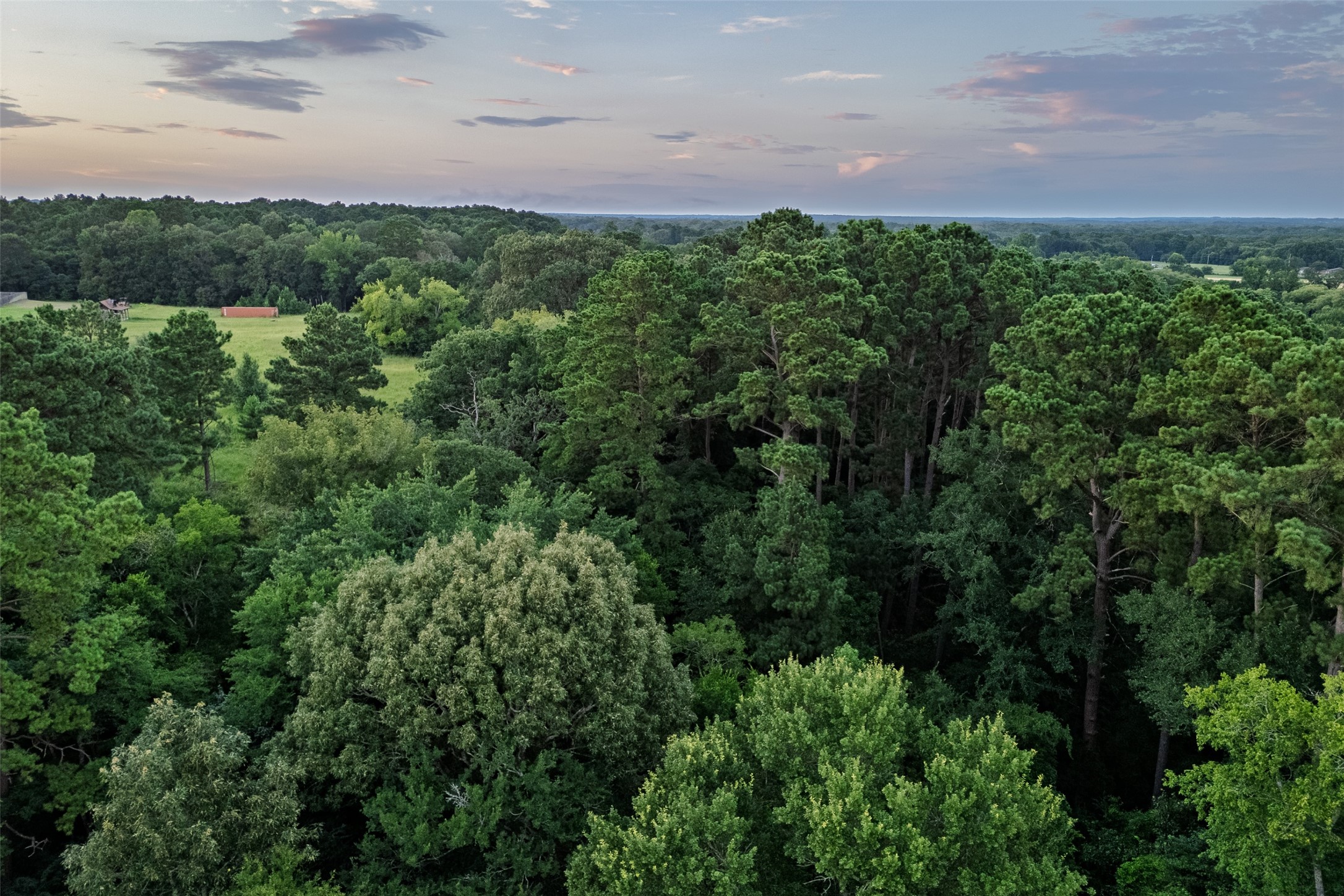 00 County Road 2138 Troup TX 75789