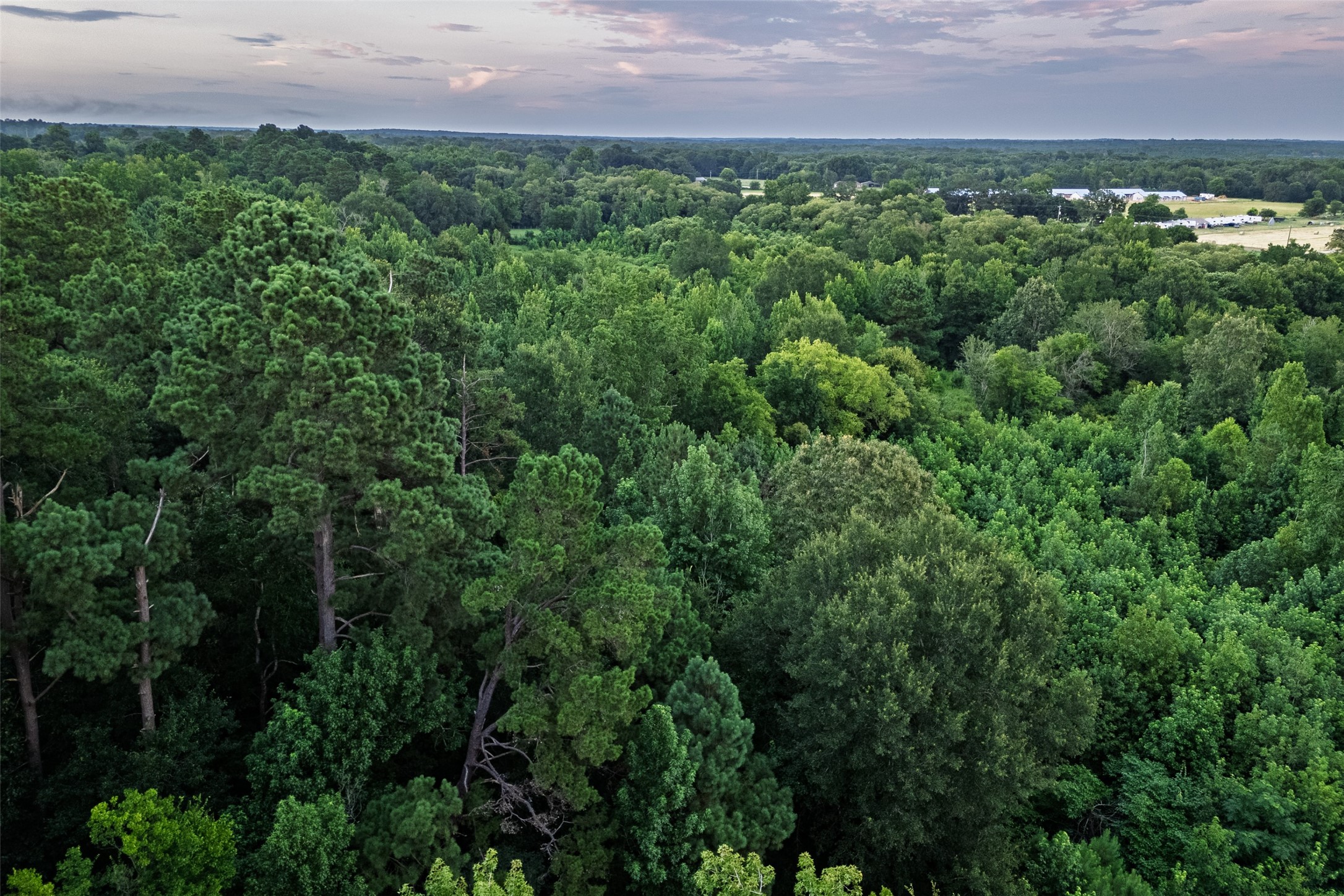 00 County Road 2138 Troup TX 75789
