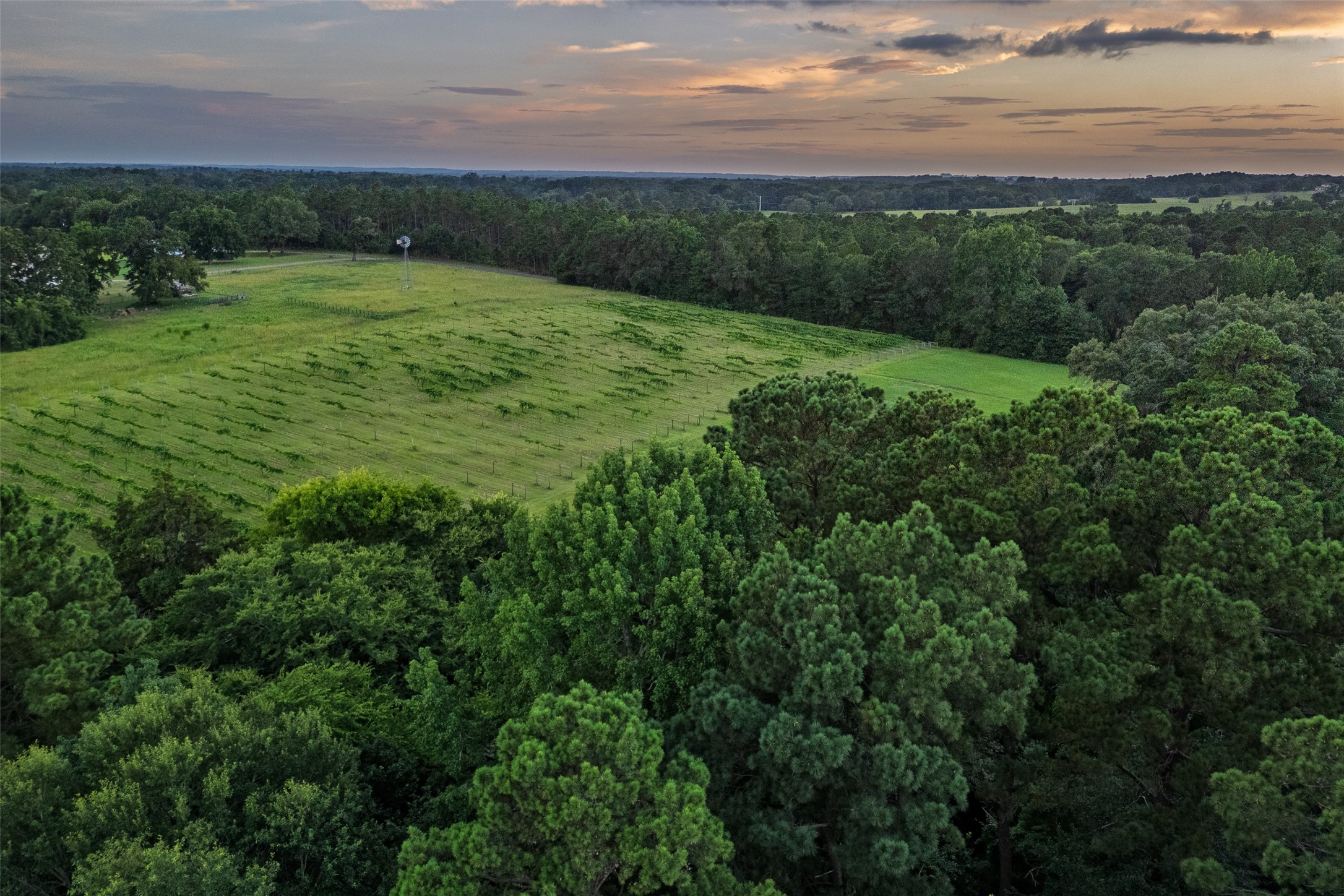 00 County Road 2138 Troup TX 75789