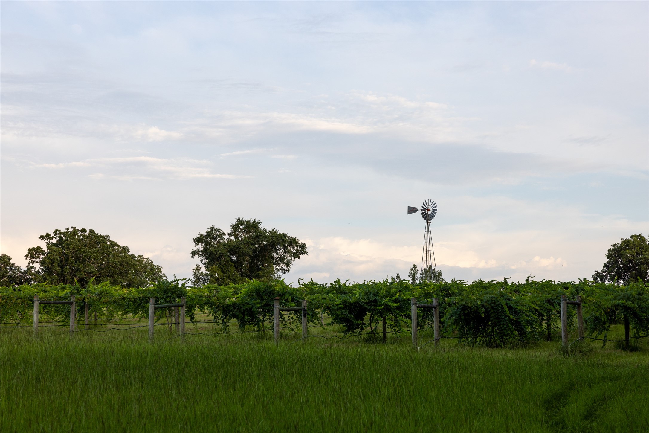 00 County Road 2138 Troup TX 75789