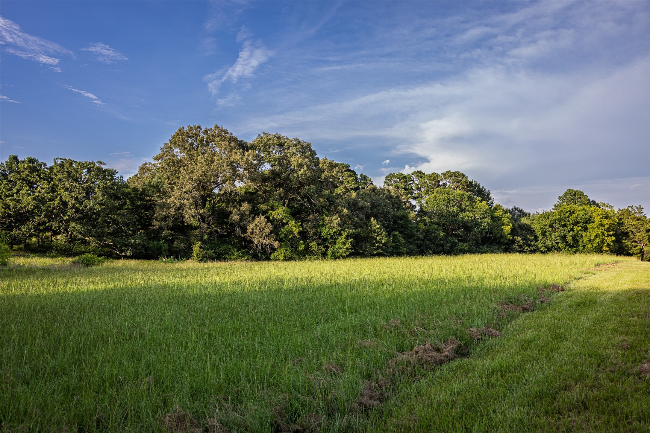 00 County Road 2138 Troup TX 75789