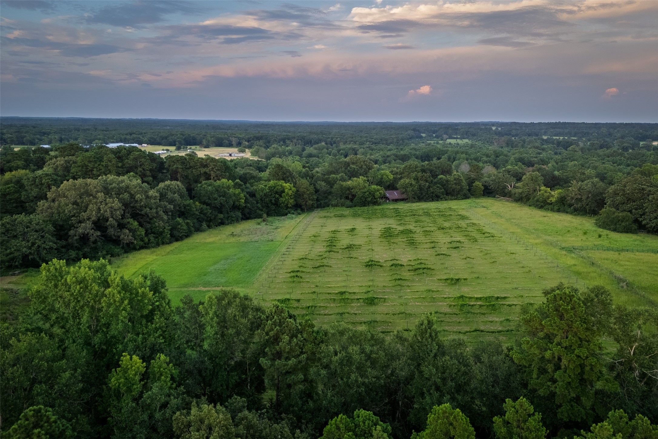 00 County Road 2138 Troup TX 75789