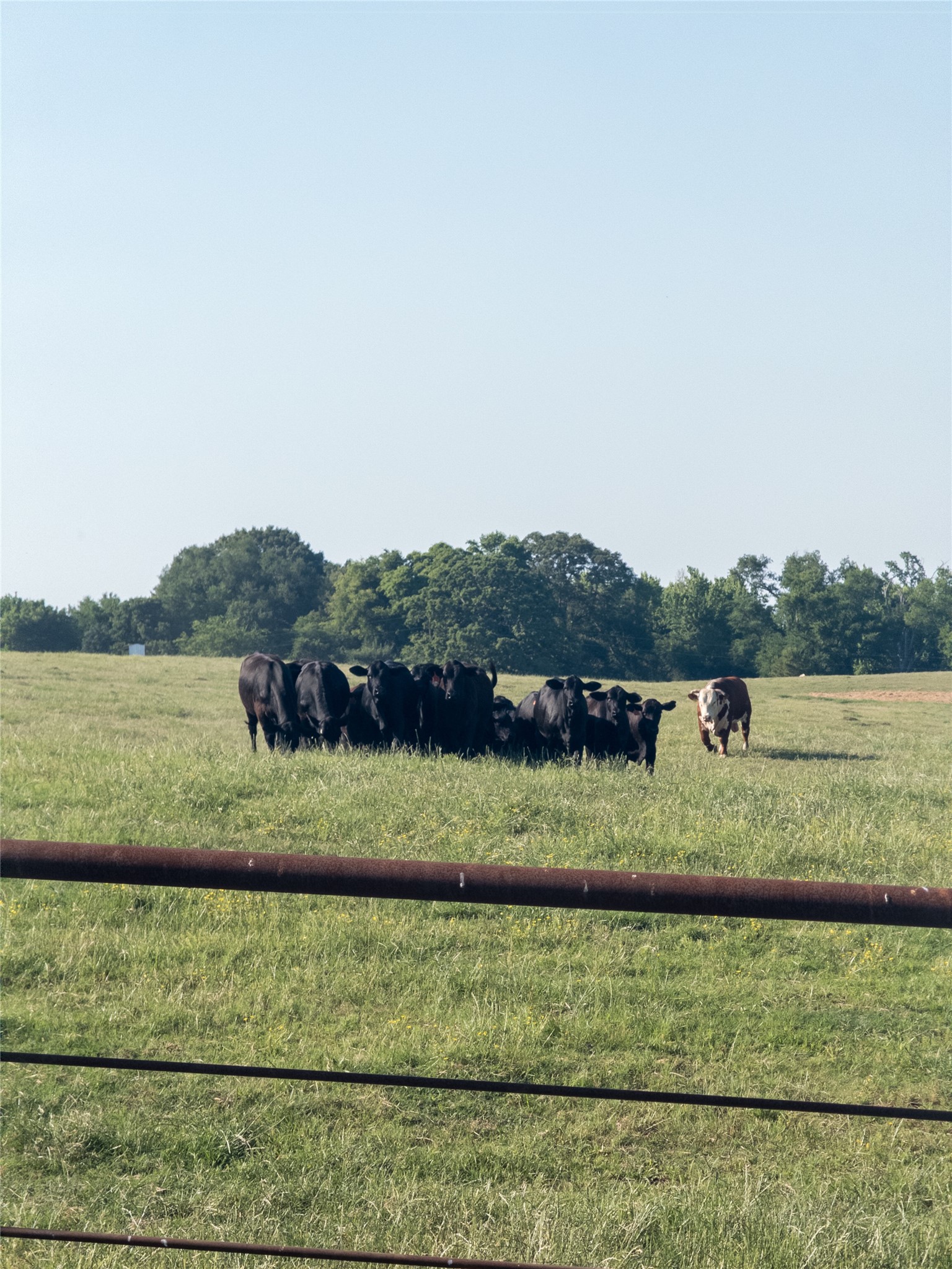 11843 Highway 175 E Highway Larue TX 75770