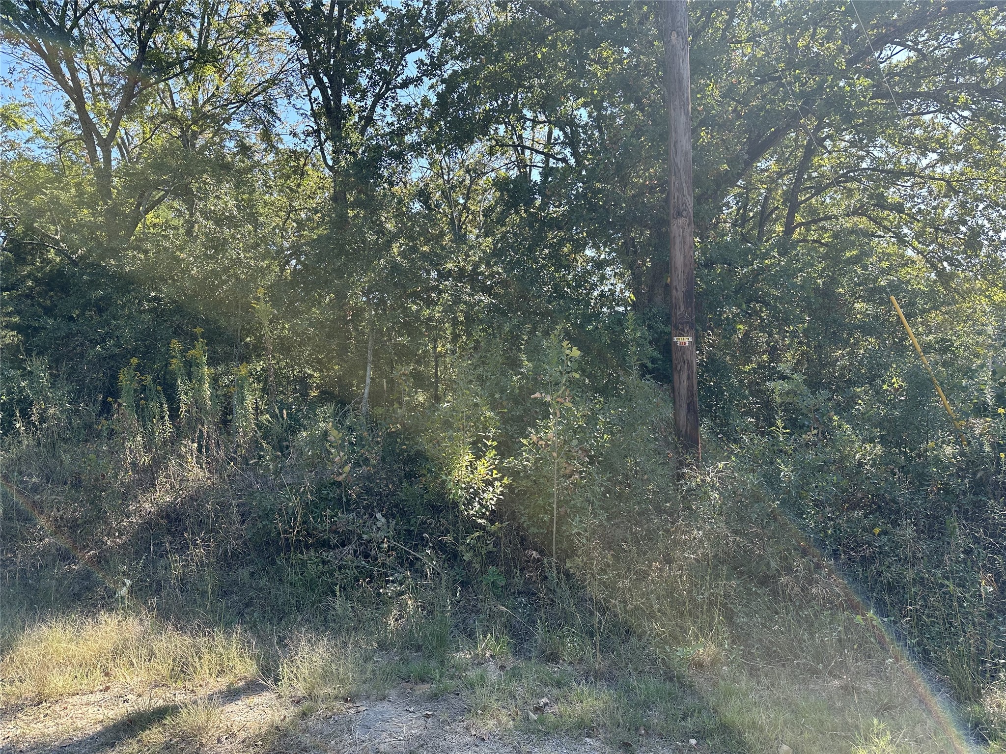 102 Navarro Drive Mabank TX 75156