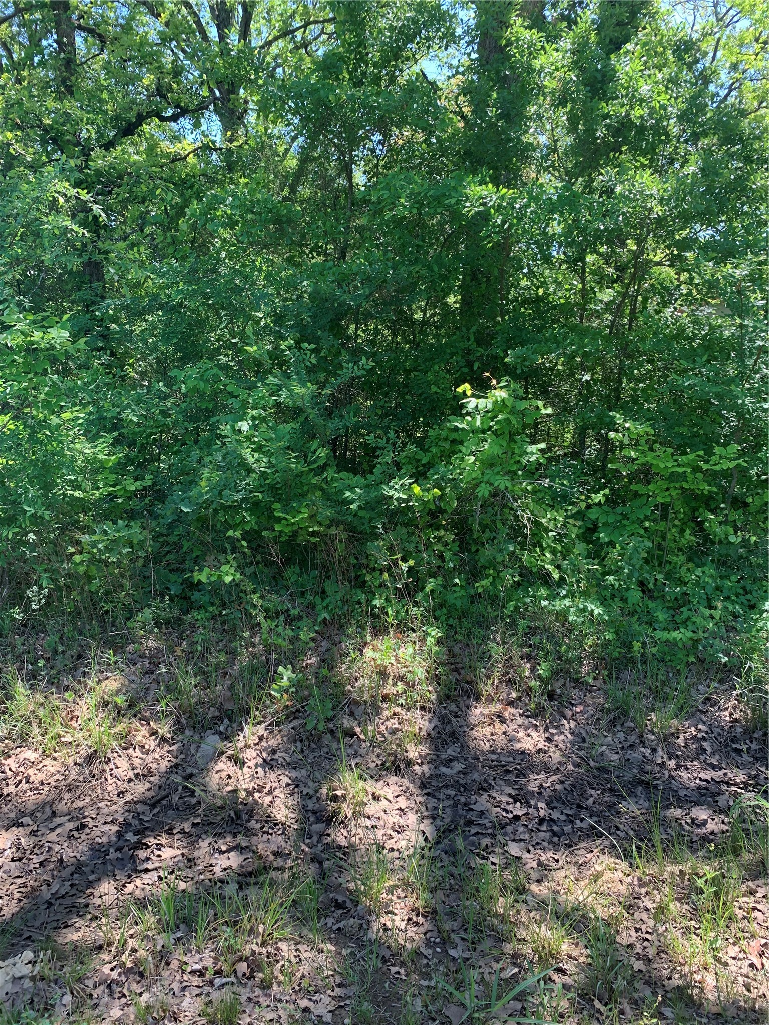 102 Navarro Drive Mabank TX 75156