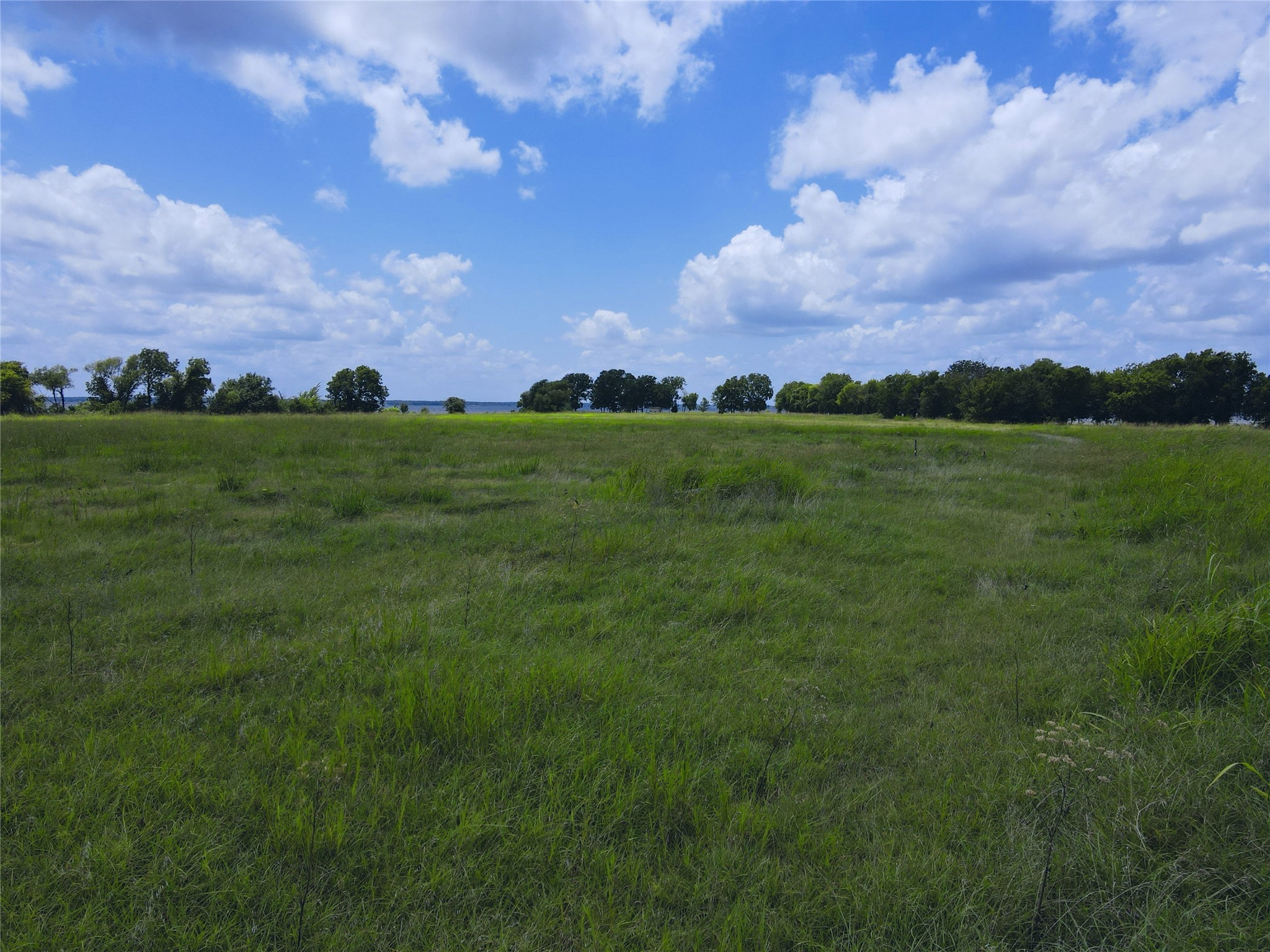 Lot 4 Oasis Drive Kerens TX 75144