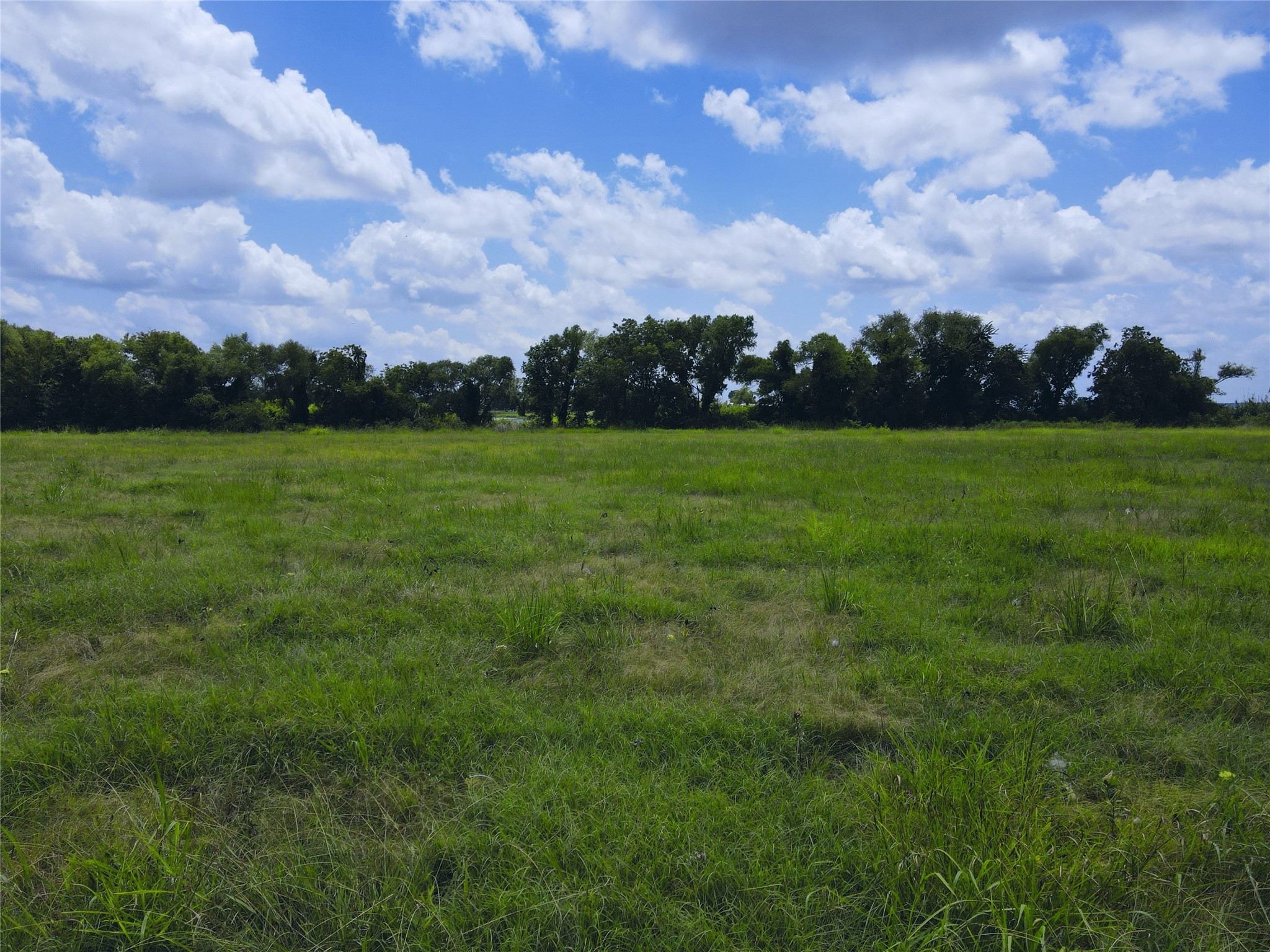 Lot 4 Oasis Drive Kerens TX 75144