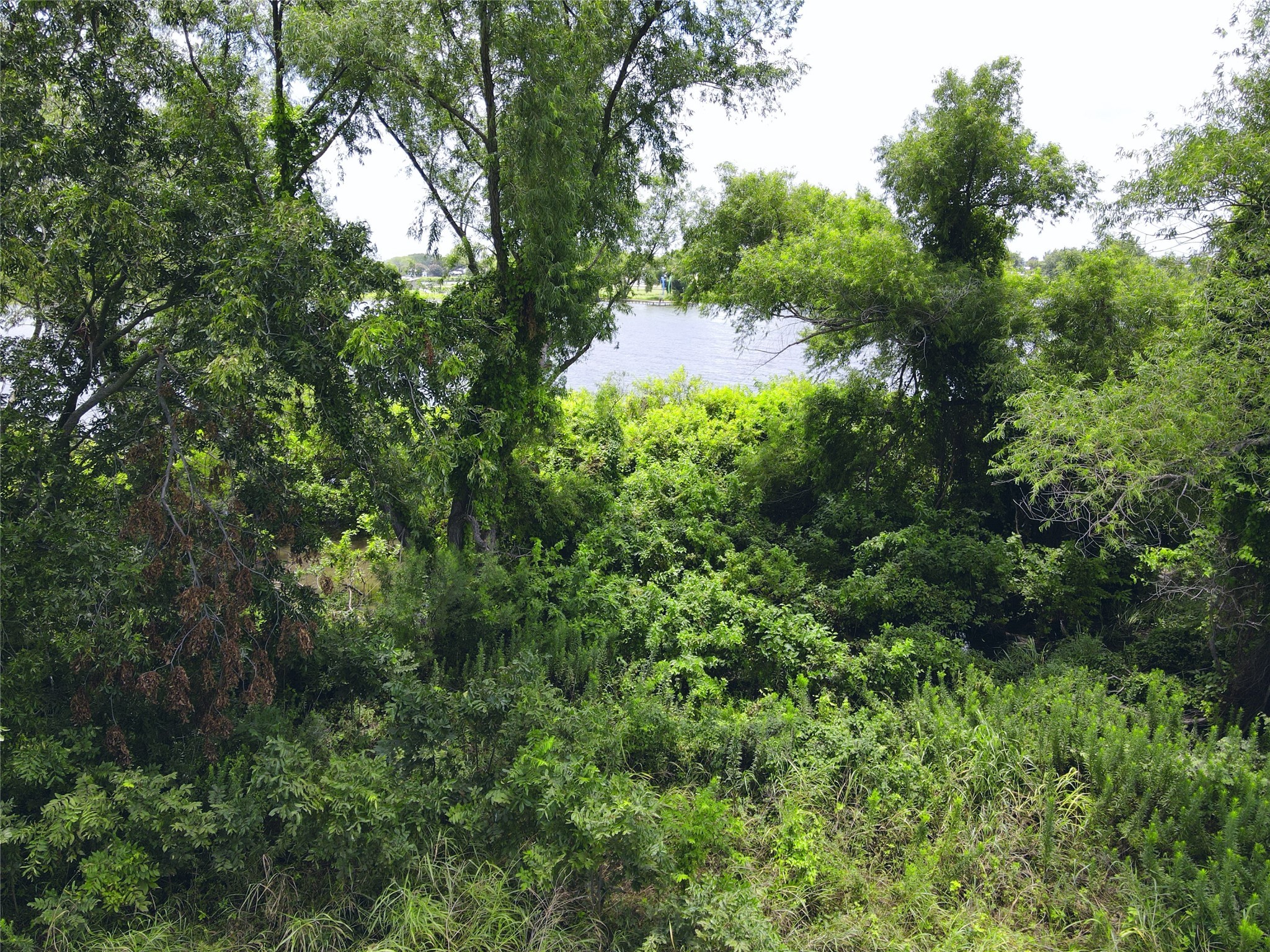 Lot 4 Oasis Drive Kerens TX 75144