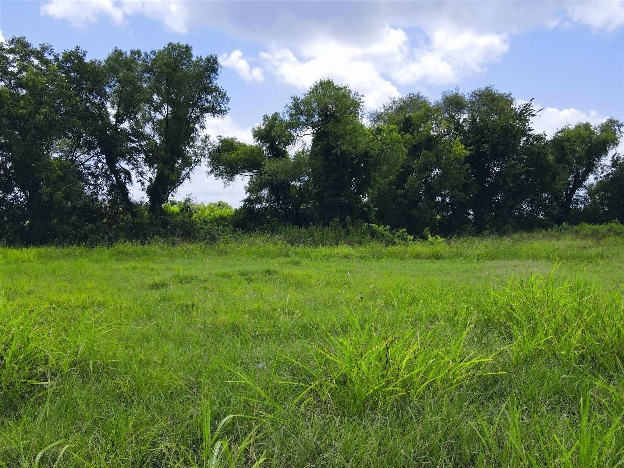Lot 4 Oasis Drive Kerens TX 75144