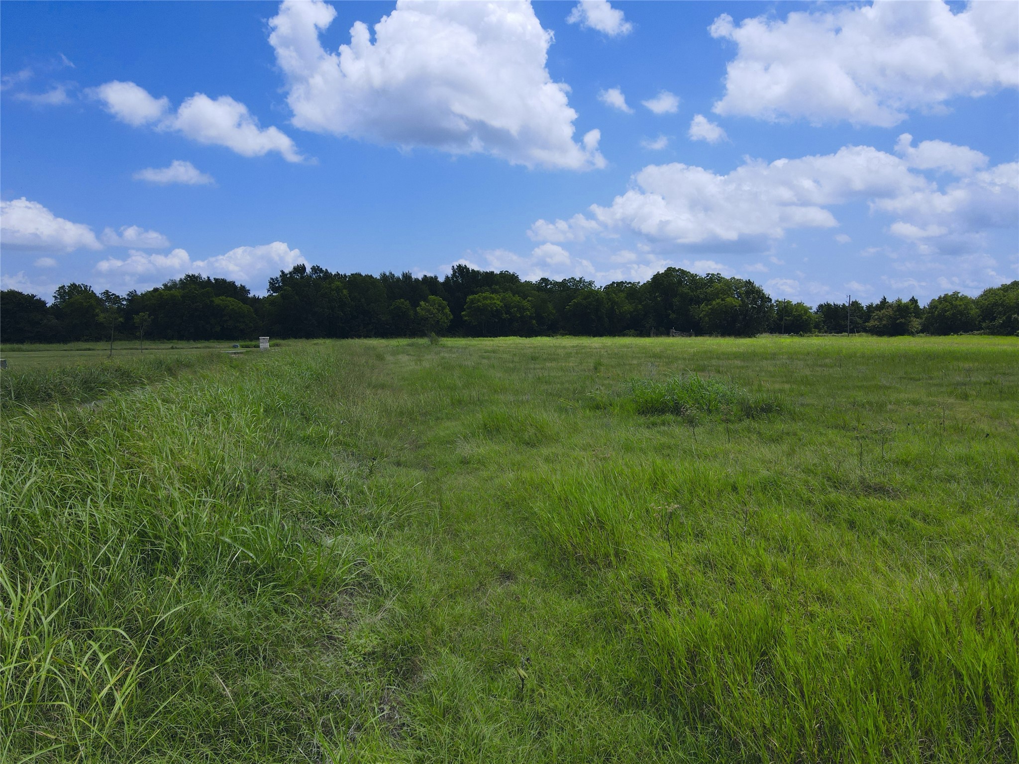Lot 4 Oasis Drive Kerens TX 75144