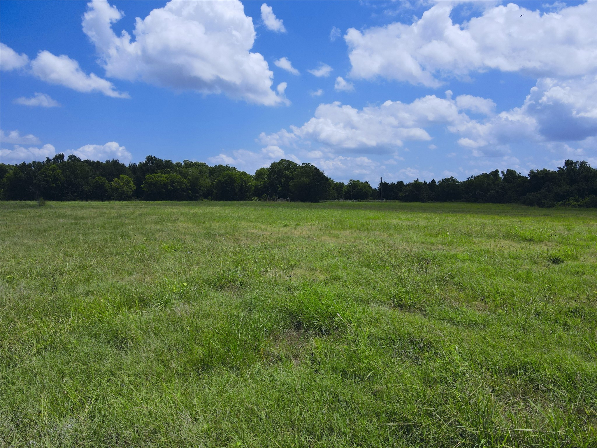 Lot 4 Oasis Drive Kerens TX 75144