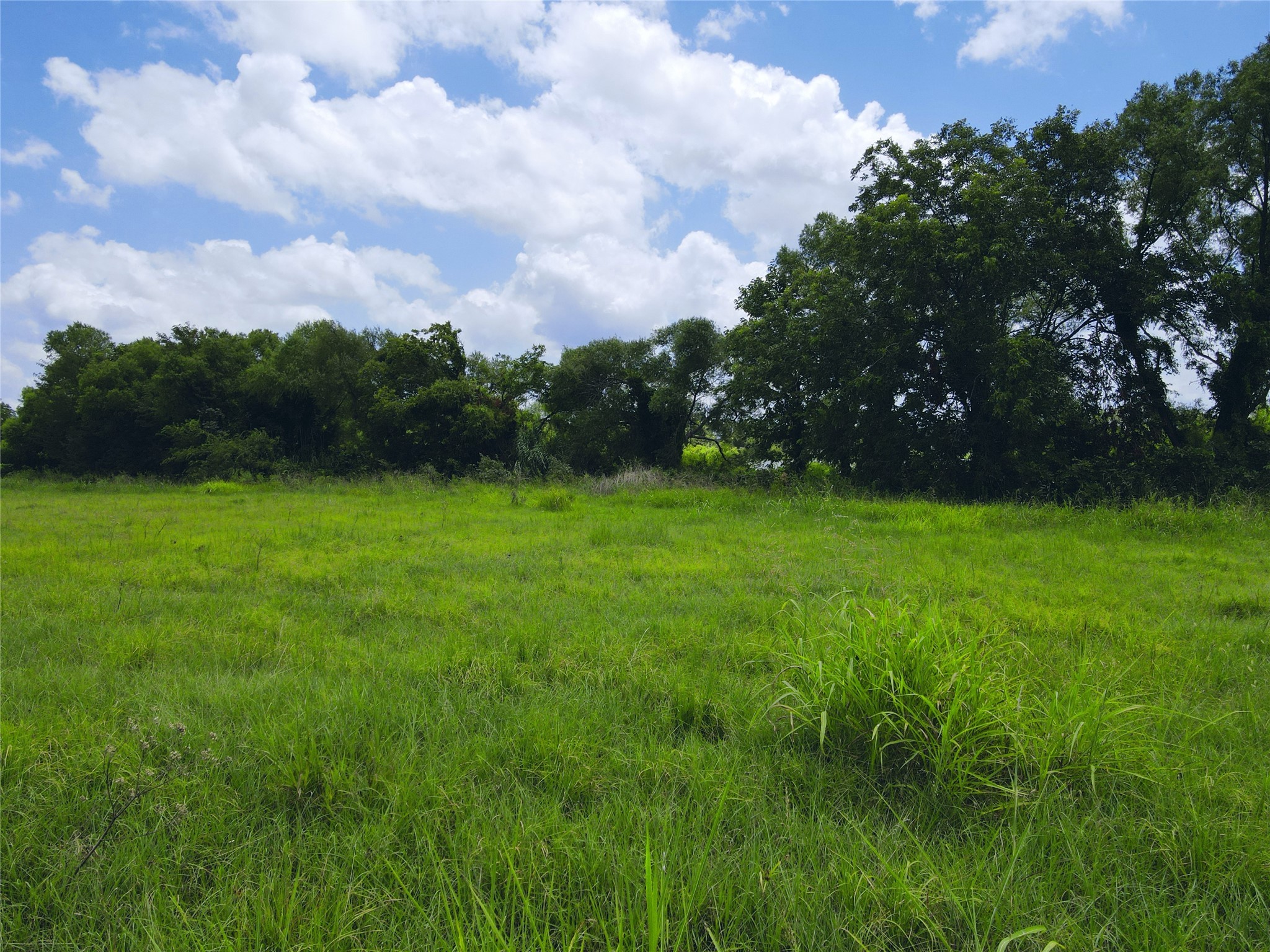 Lot 4 Oasis Drive Kerens TX 75144