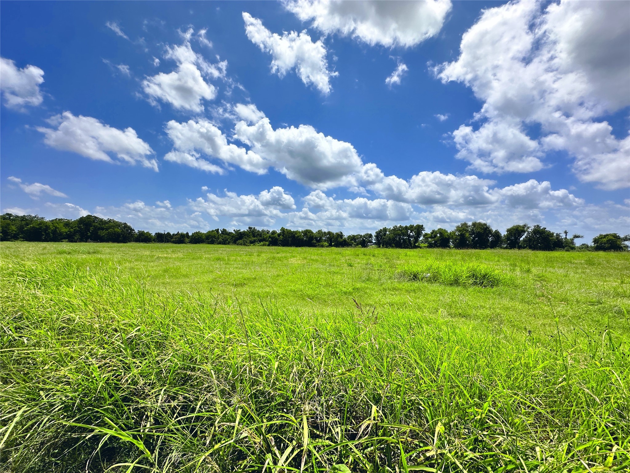 Lot 4 Oasis Drive Kerens TX 75144