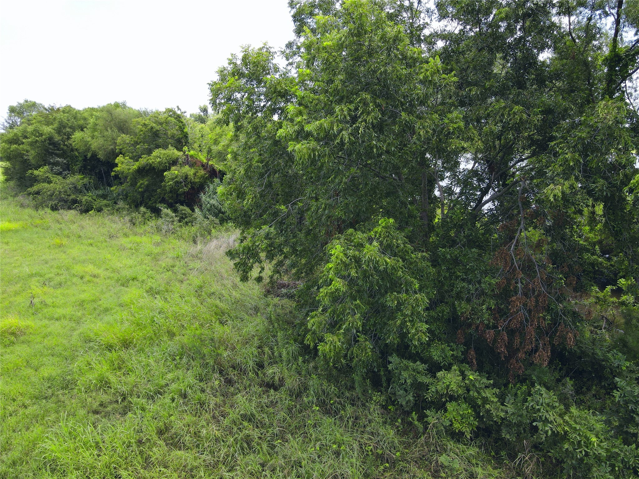 Lot 4 Oasis Drive Kerens TX 75144