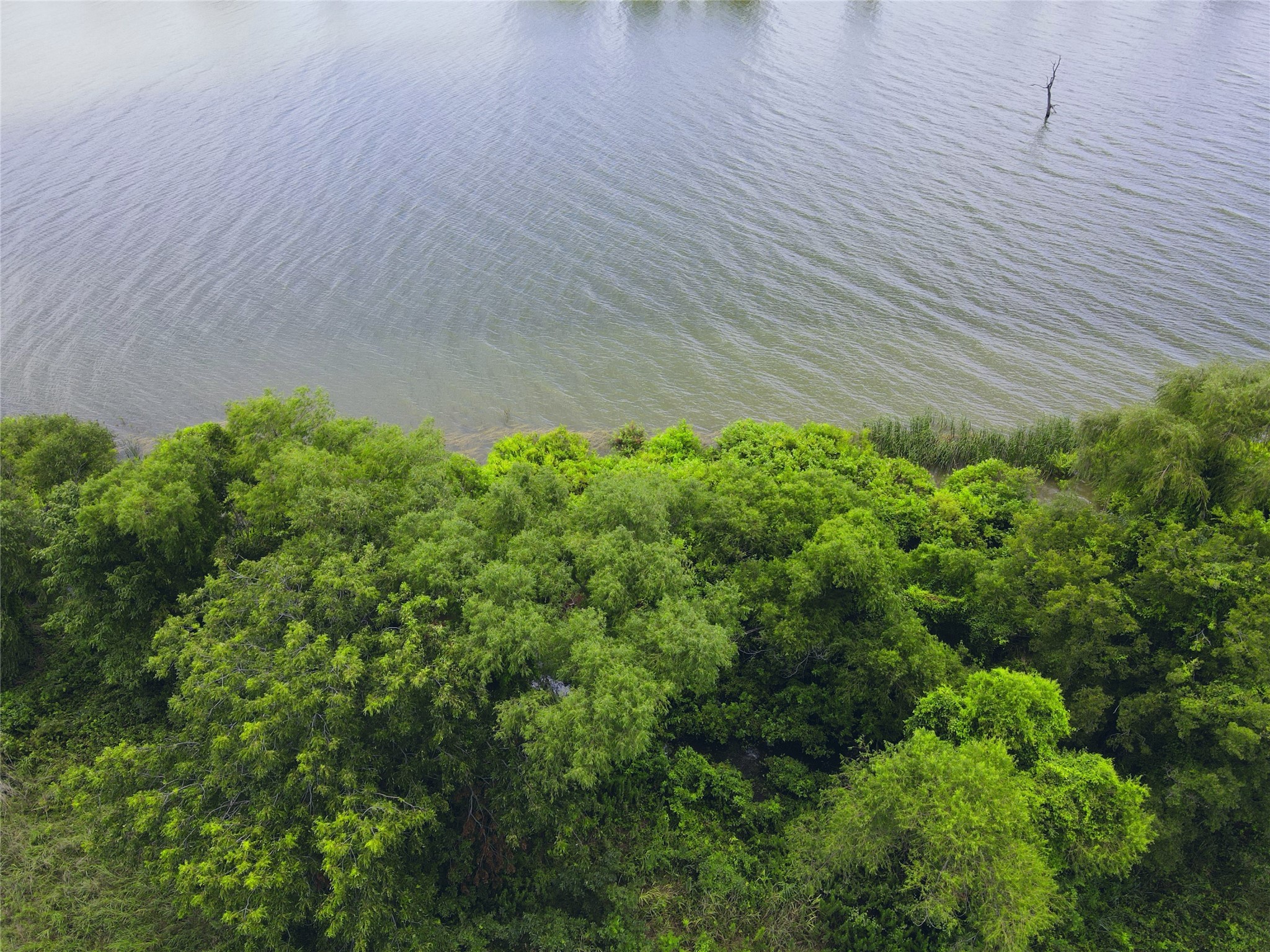 Lot 4 Oasis Drive Kerens TX 75144