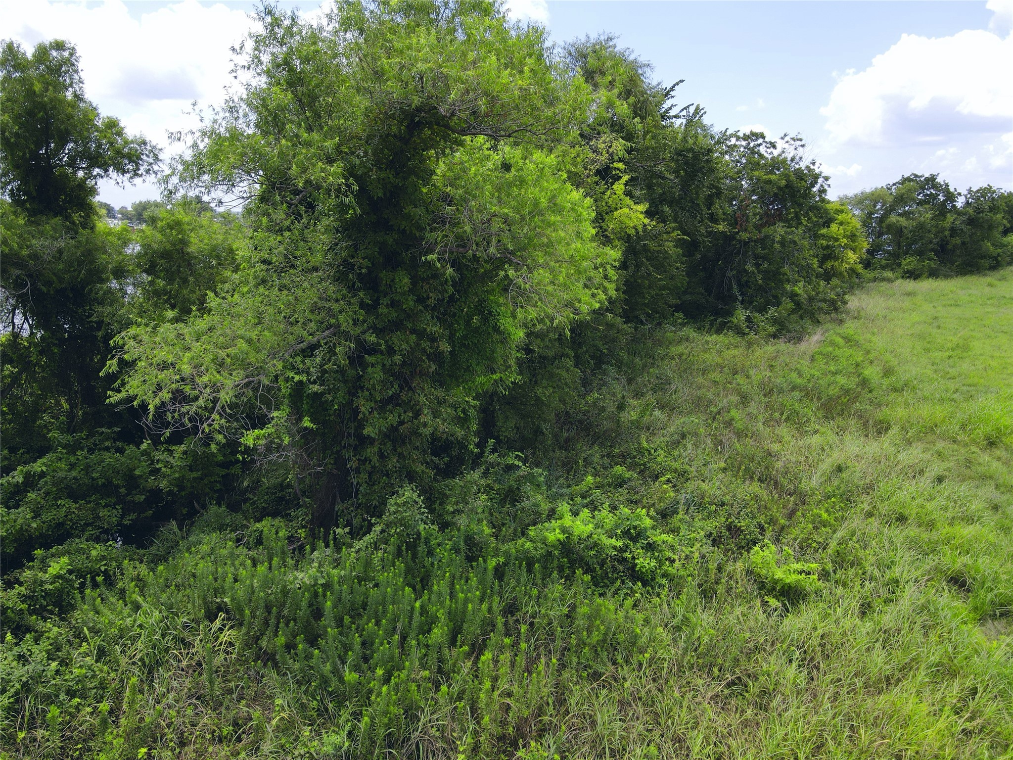 Lot 4 Oasis Drive Kerens TX 75144