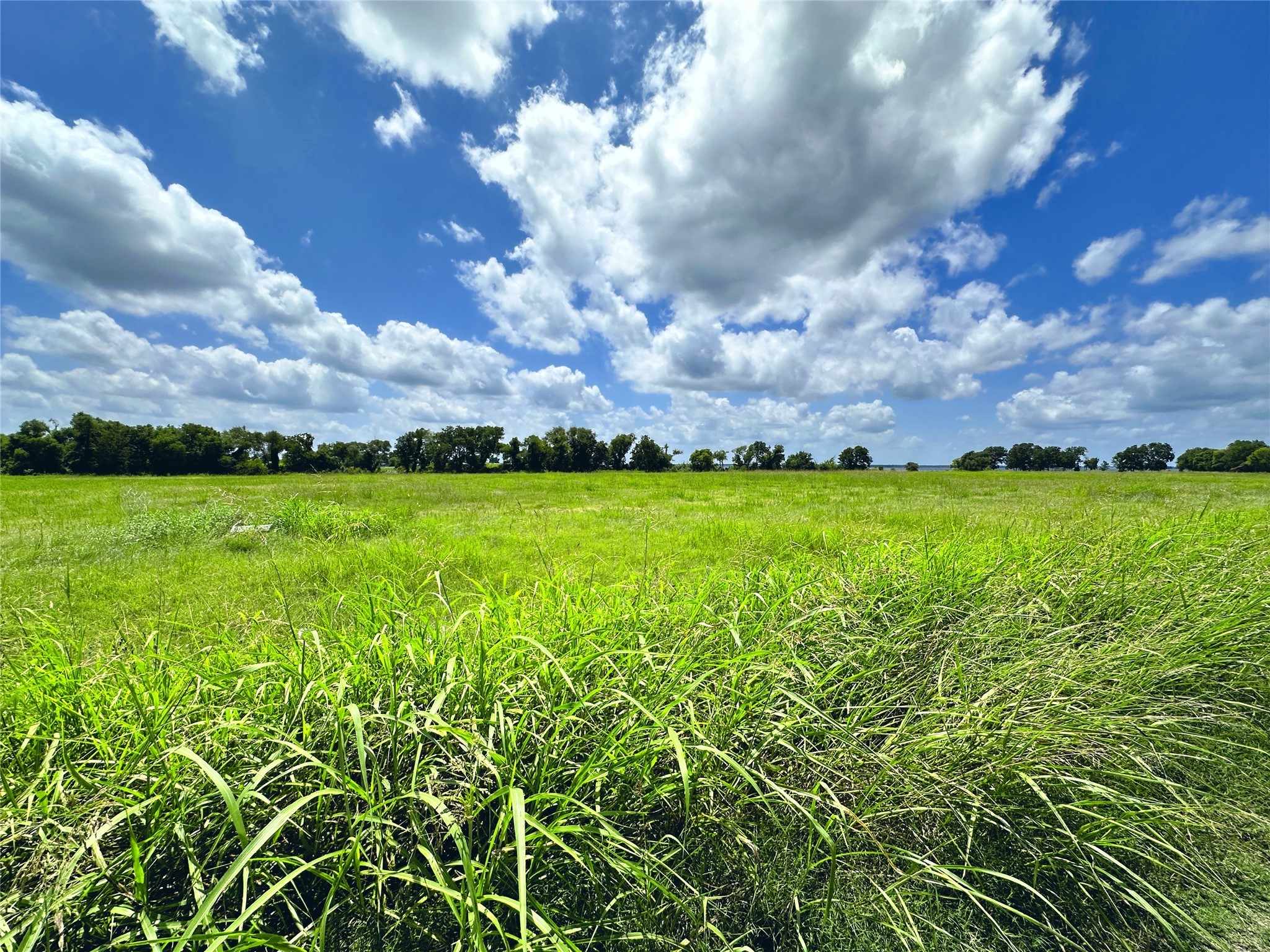 Lot 4 Oasis Drive Kerens TX 75144