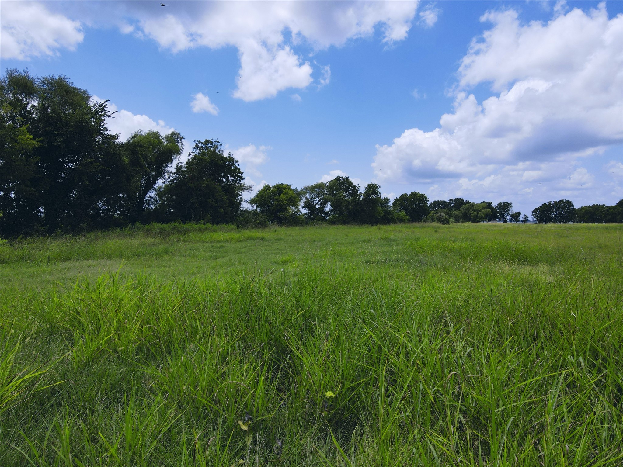 Lot 4 Oasis Drive Kerens TX 75144