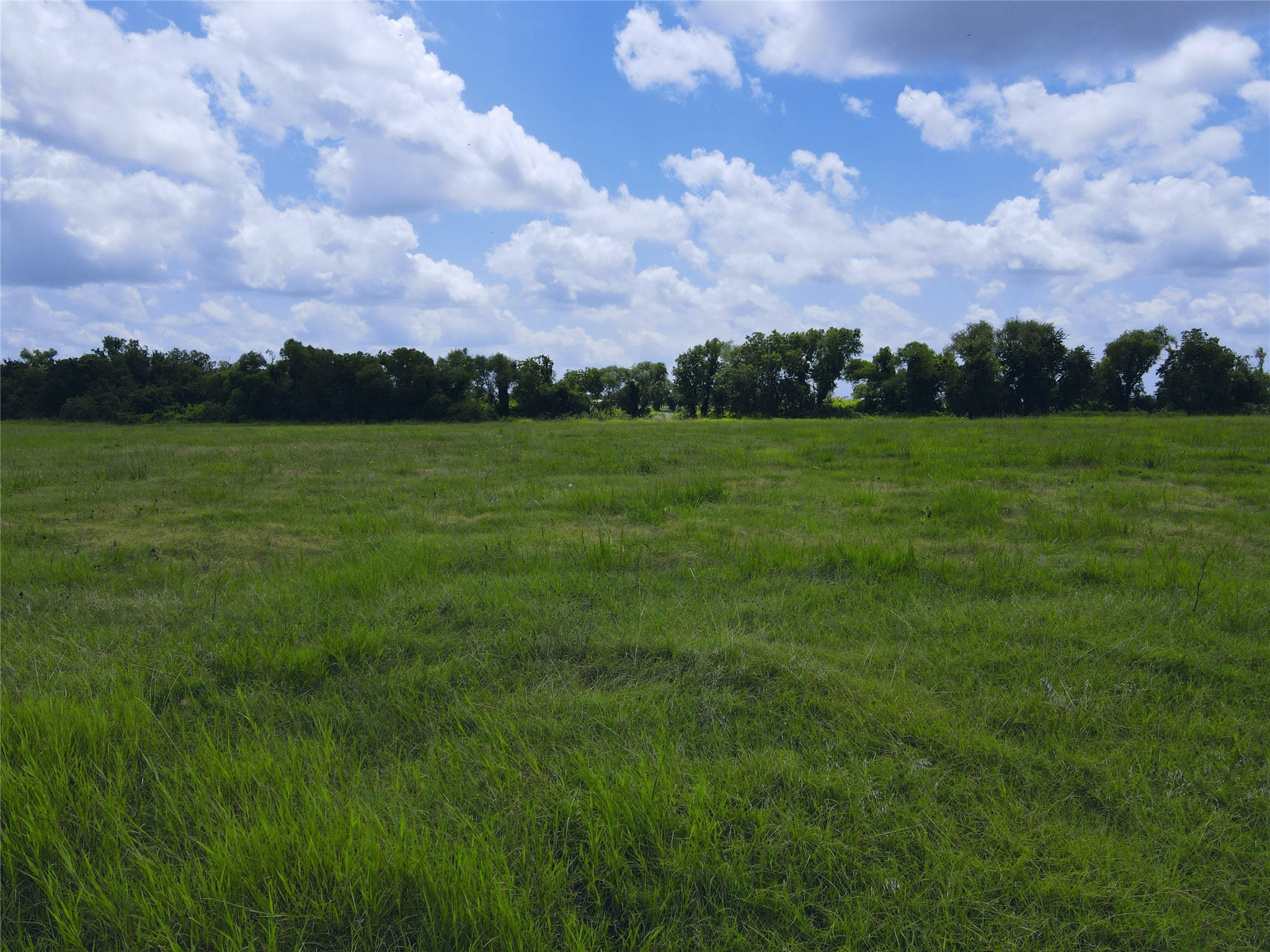 Lot 4 Oasis Drive Kerens TX 75144