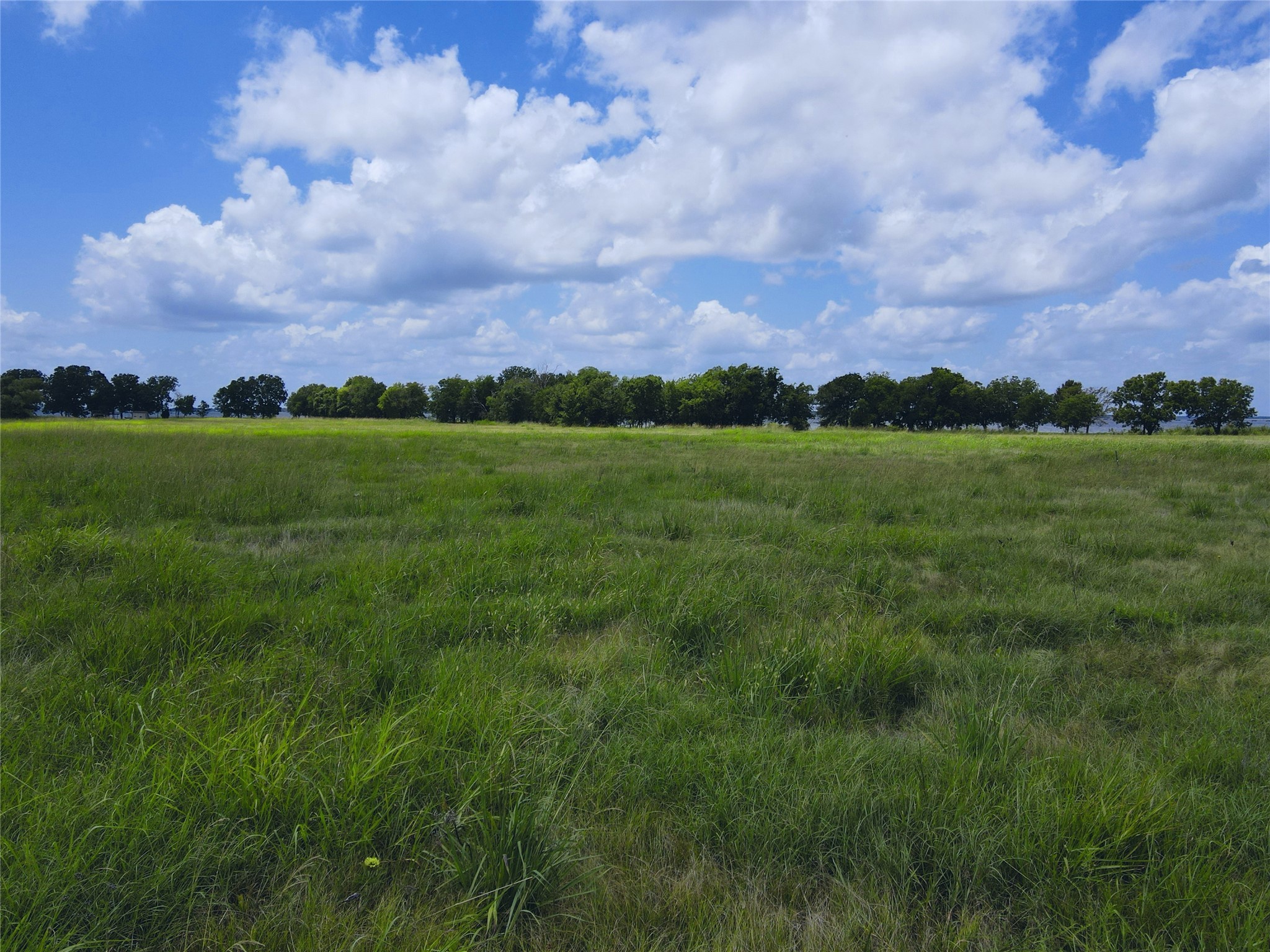 Lot 4 Oasis Drive Kerens TX 75144