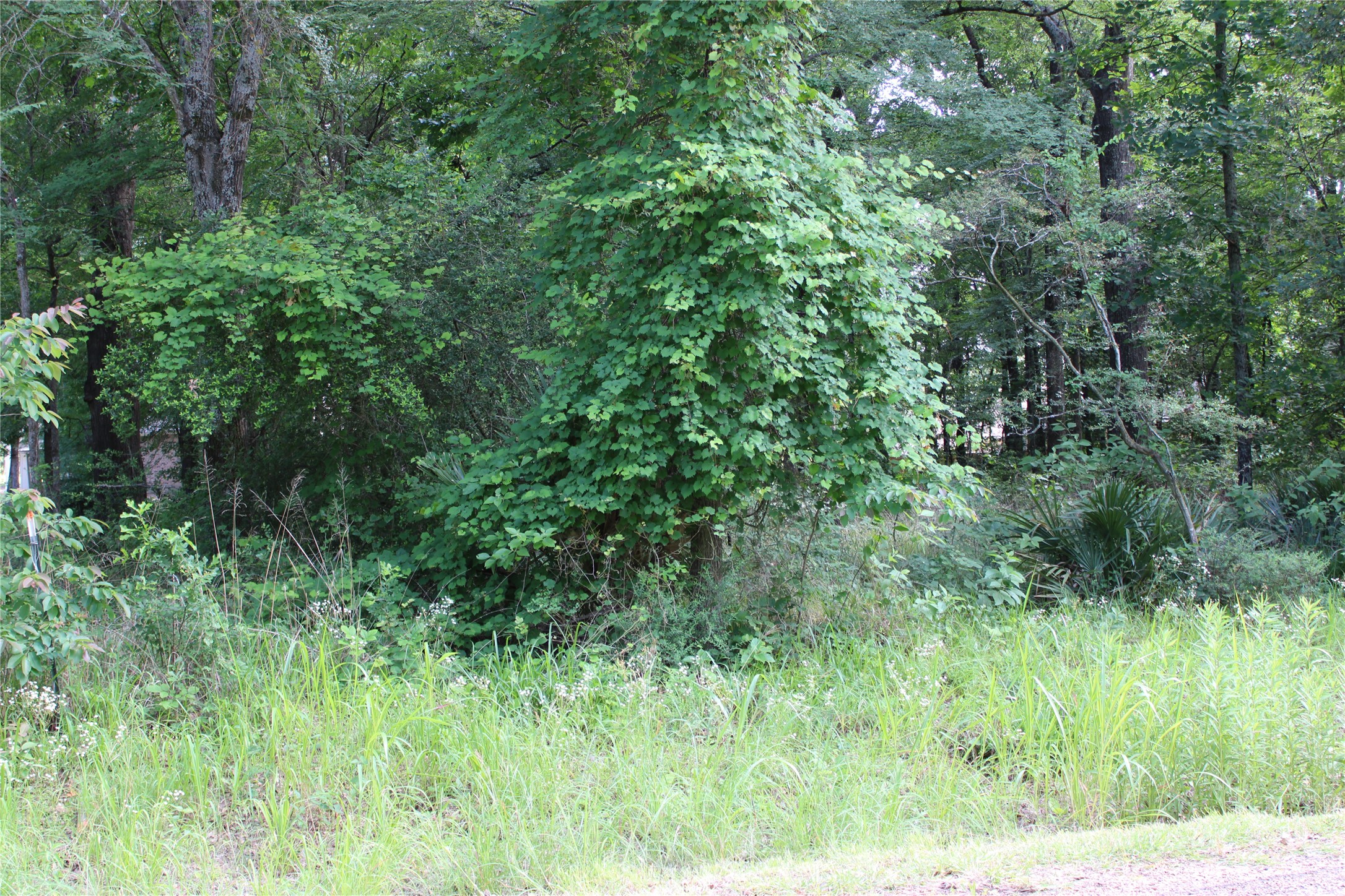 109 Lakeview Trail Mabank TX 75147