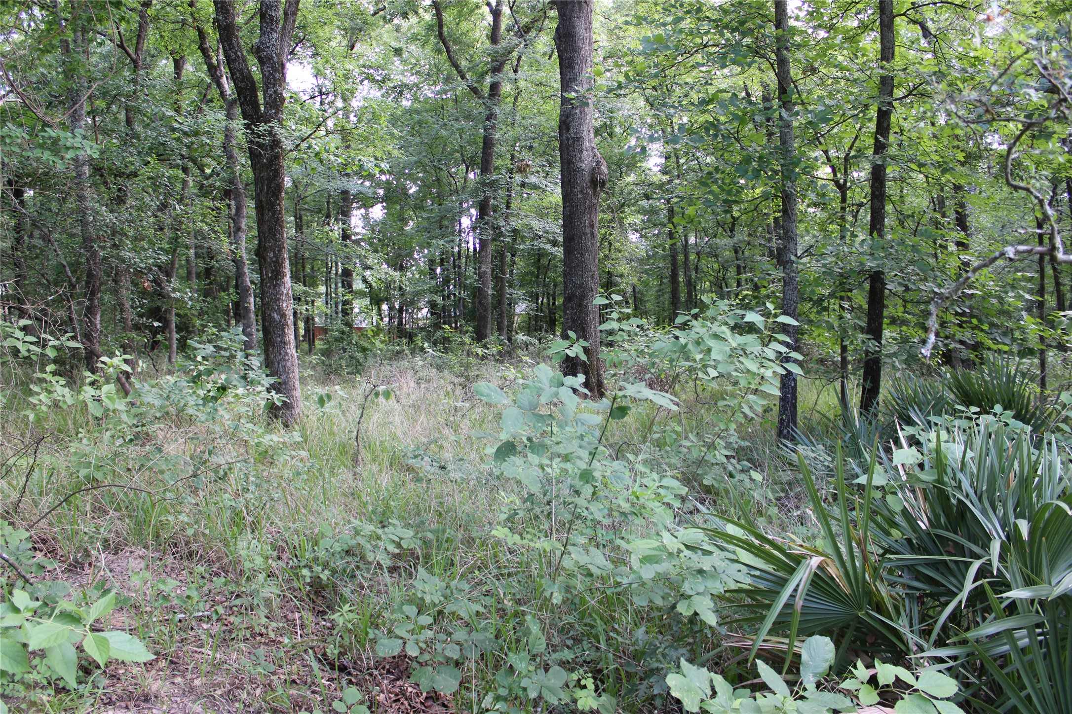 109 Lakeview Trail Mabank TX 75147