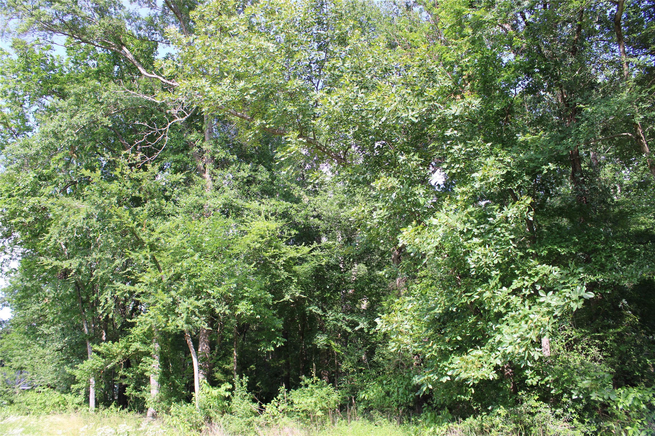 109 Lakeview Trail Mabank TX 75147