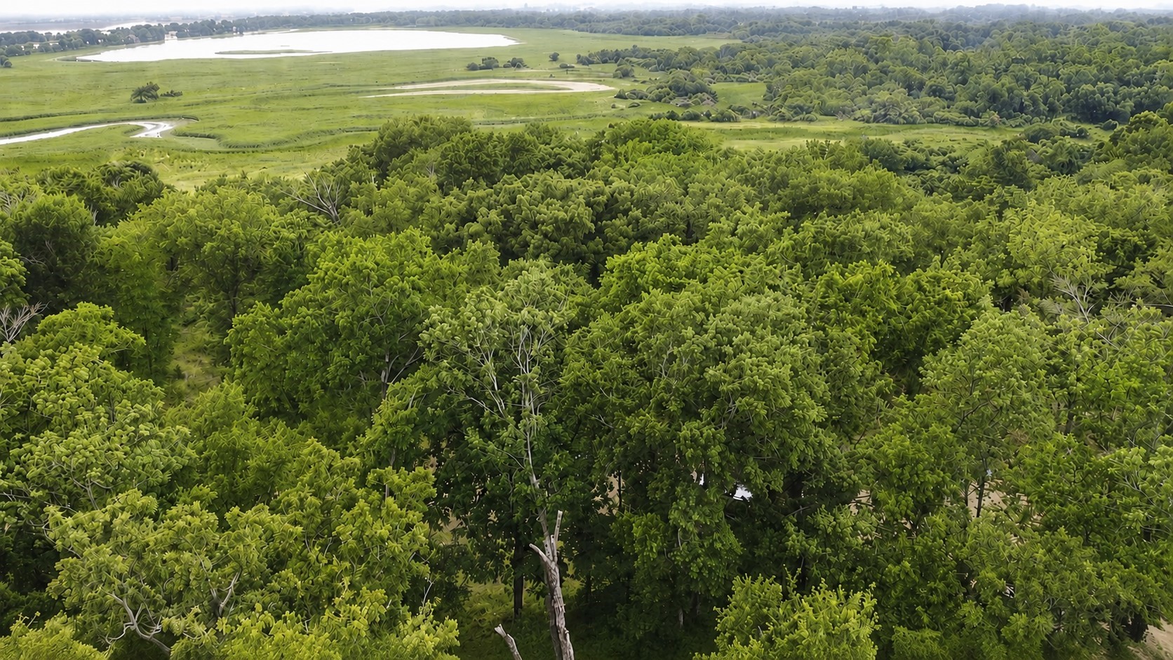 109 Lakeview Trail Mabank TX 75147