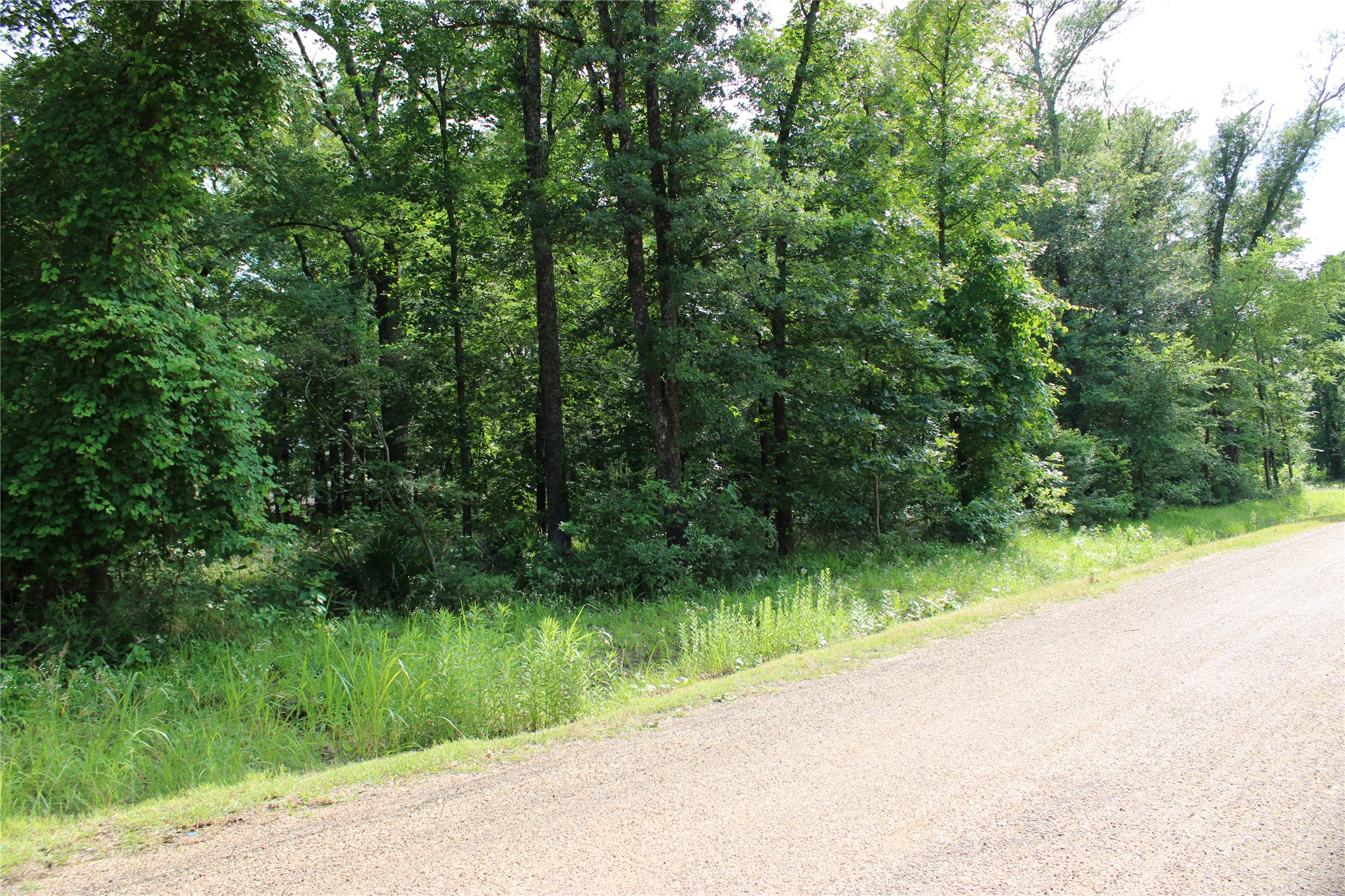 109 Lakeview Trail Mabank TX 75147