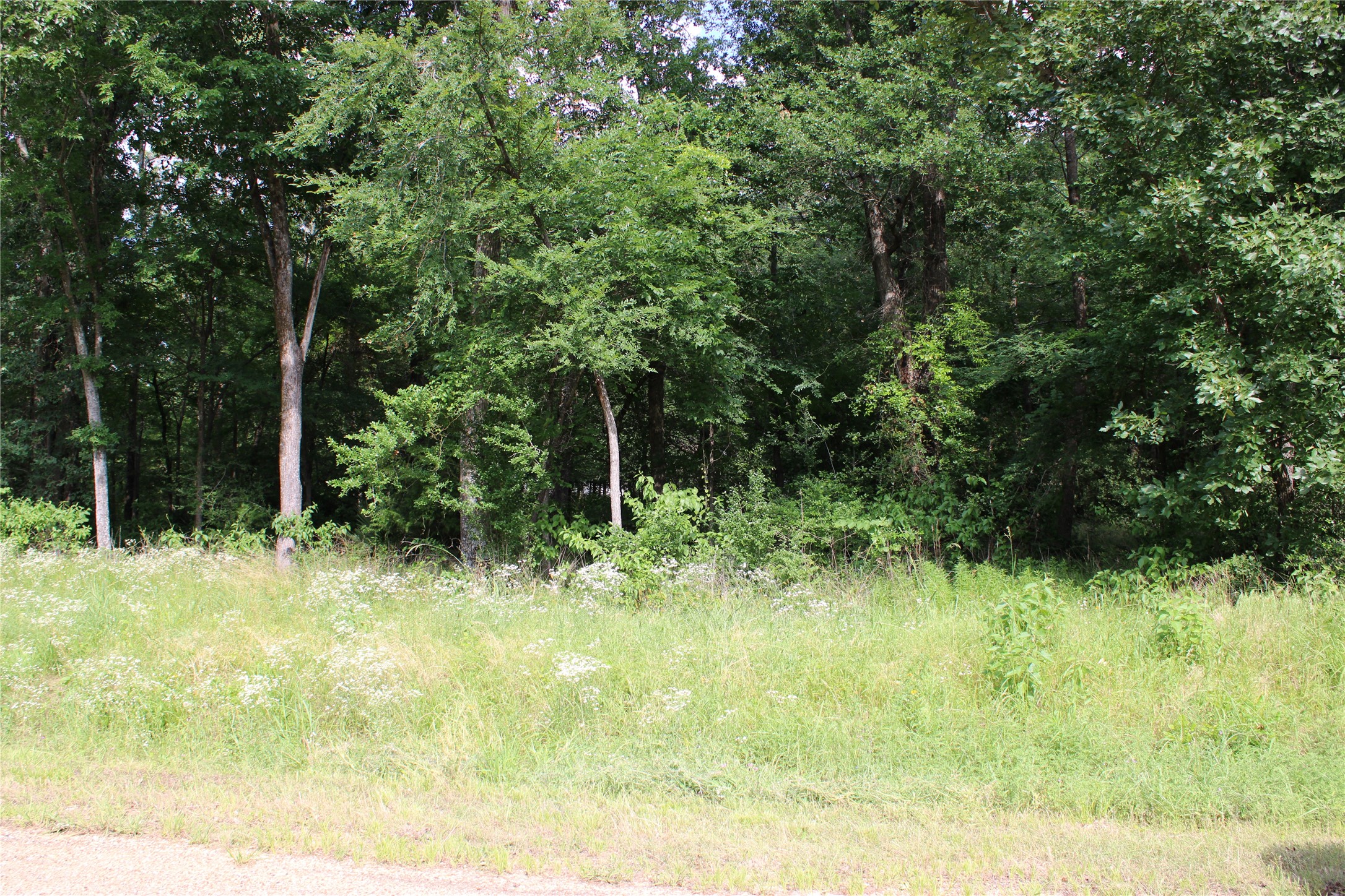 109 Lakeview Trail Mabank TX 75147