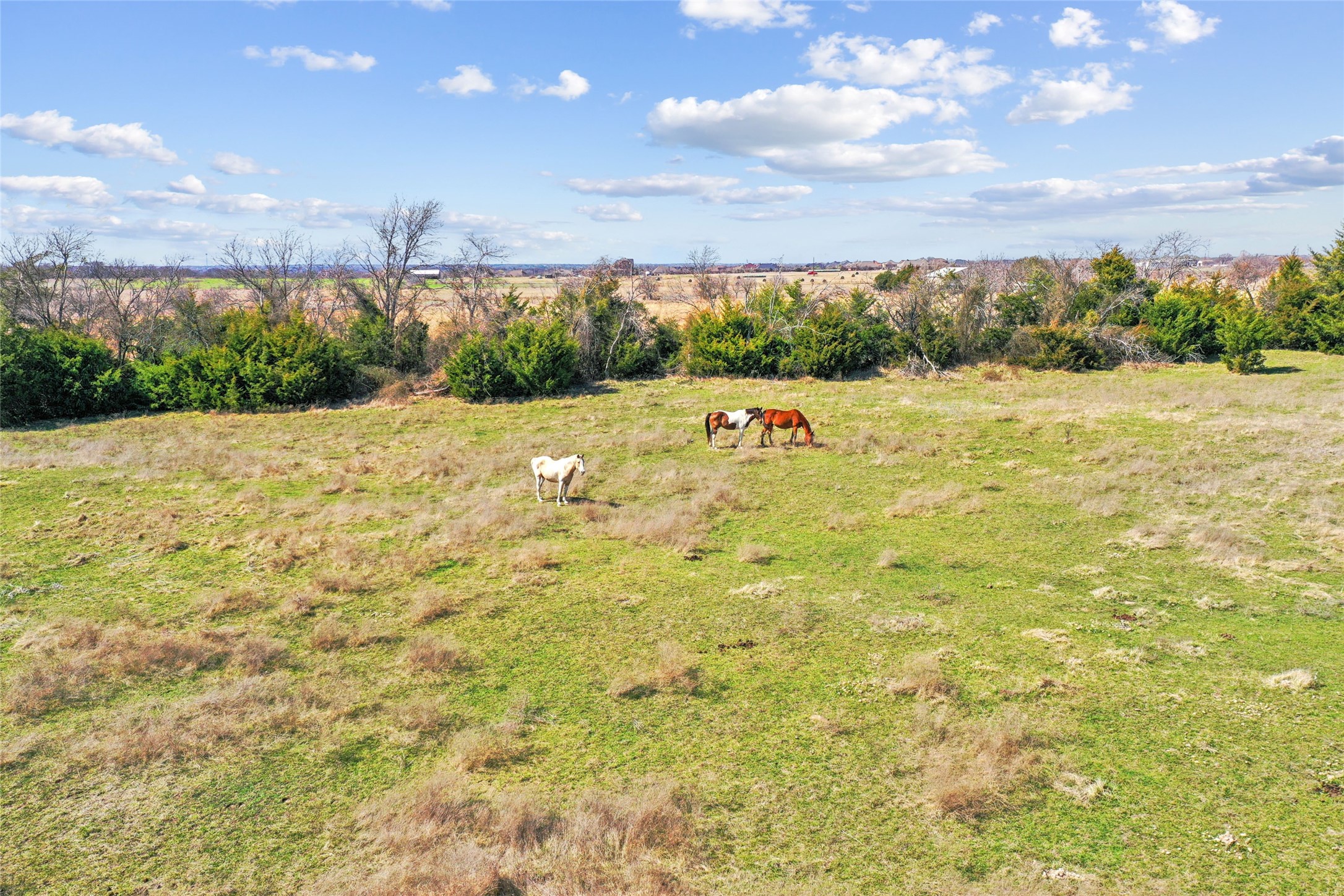 1001 Ovilla Road Waxahachie TX 75167