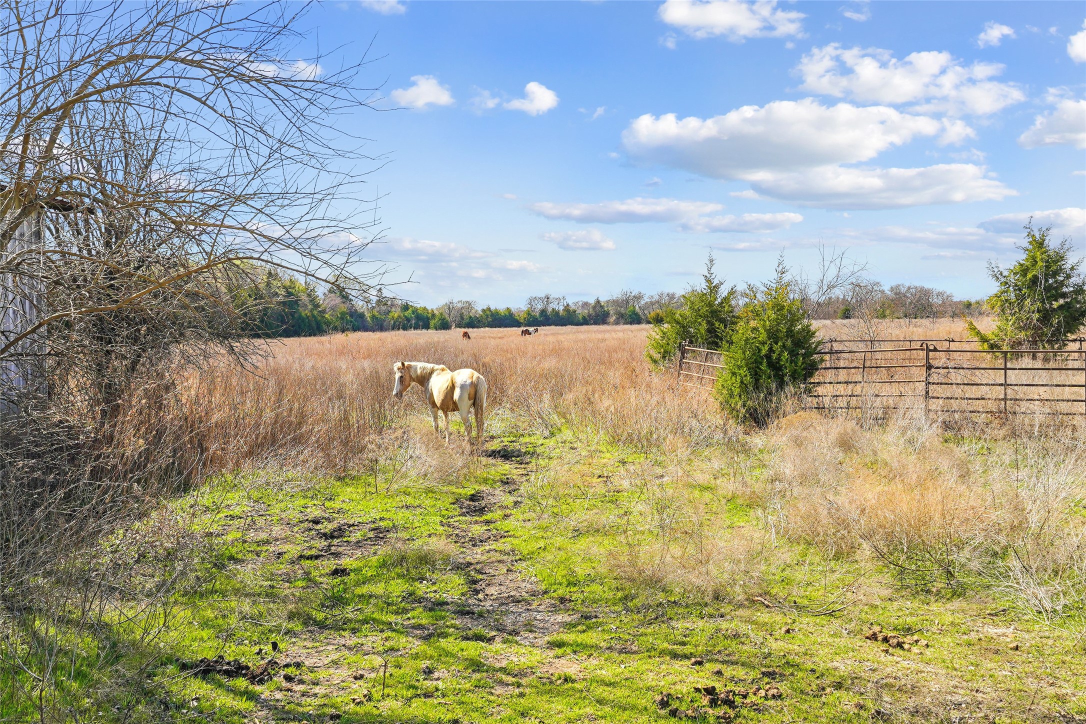 1001 Ovilla Road Waxahachie TX 75167