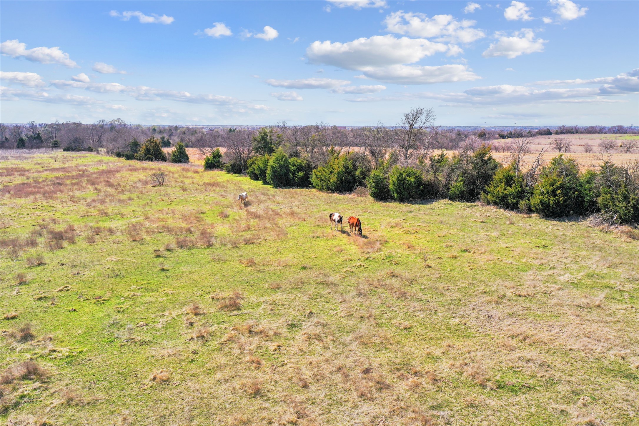 1001 Ovilla Road Waxahachie TX 75167