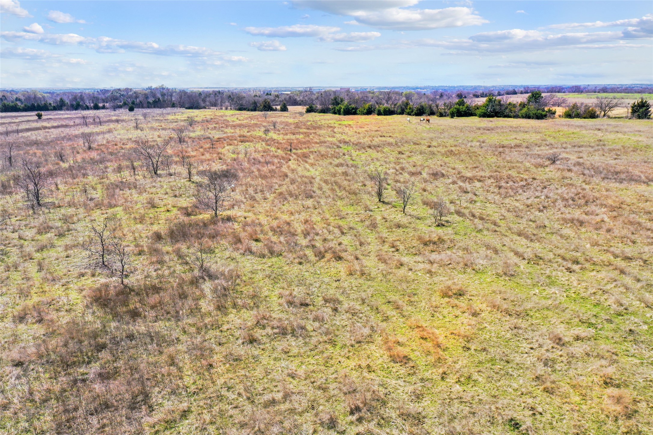 1001 Ovilla Road Waxahachie TX 75167