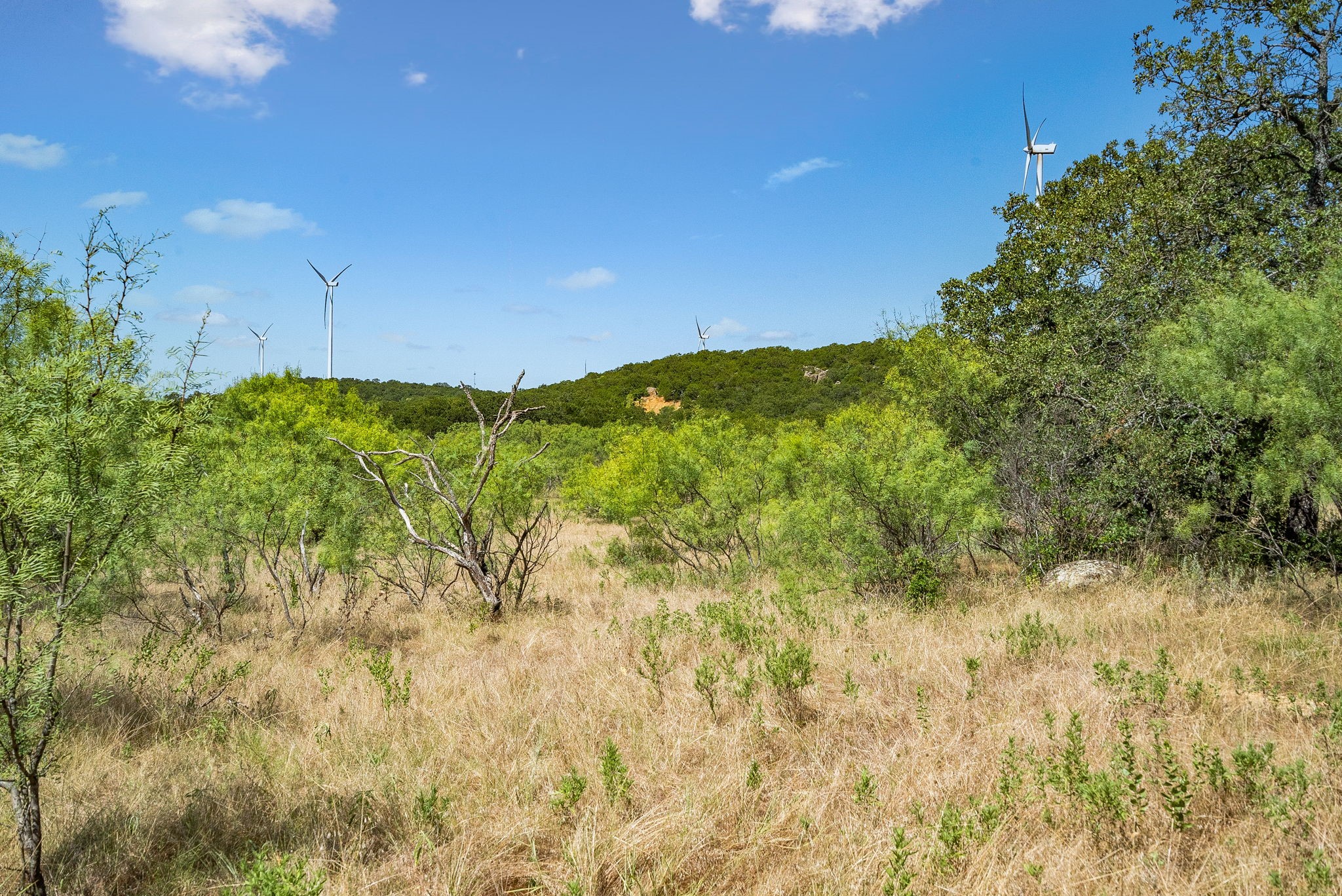 Tbd Armstrong Lane Bryson TX 76427