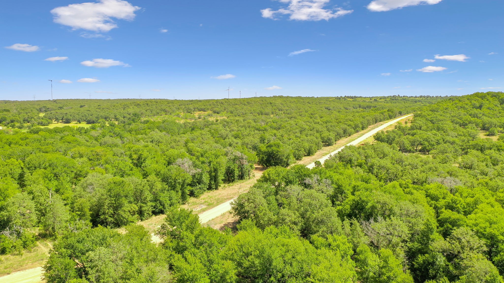 Tbd Armstrong Lane Bryson TX 76427
