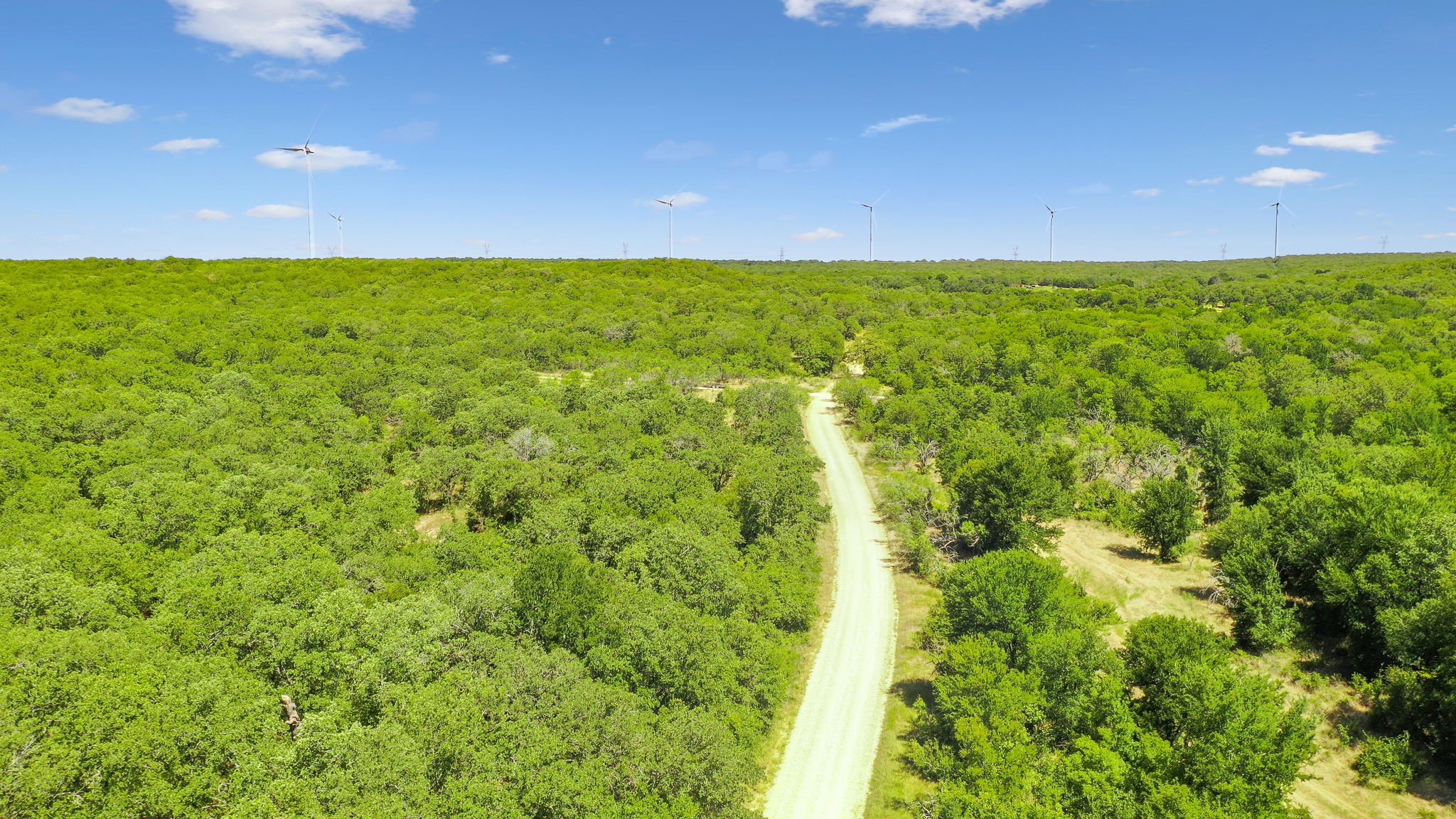 Tbd Armstrong Lane Bryson TX 76427