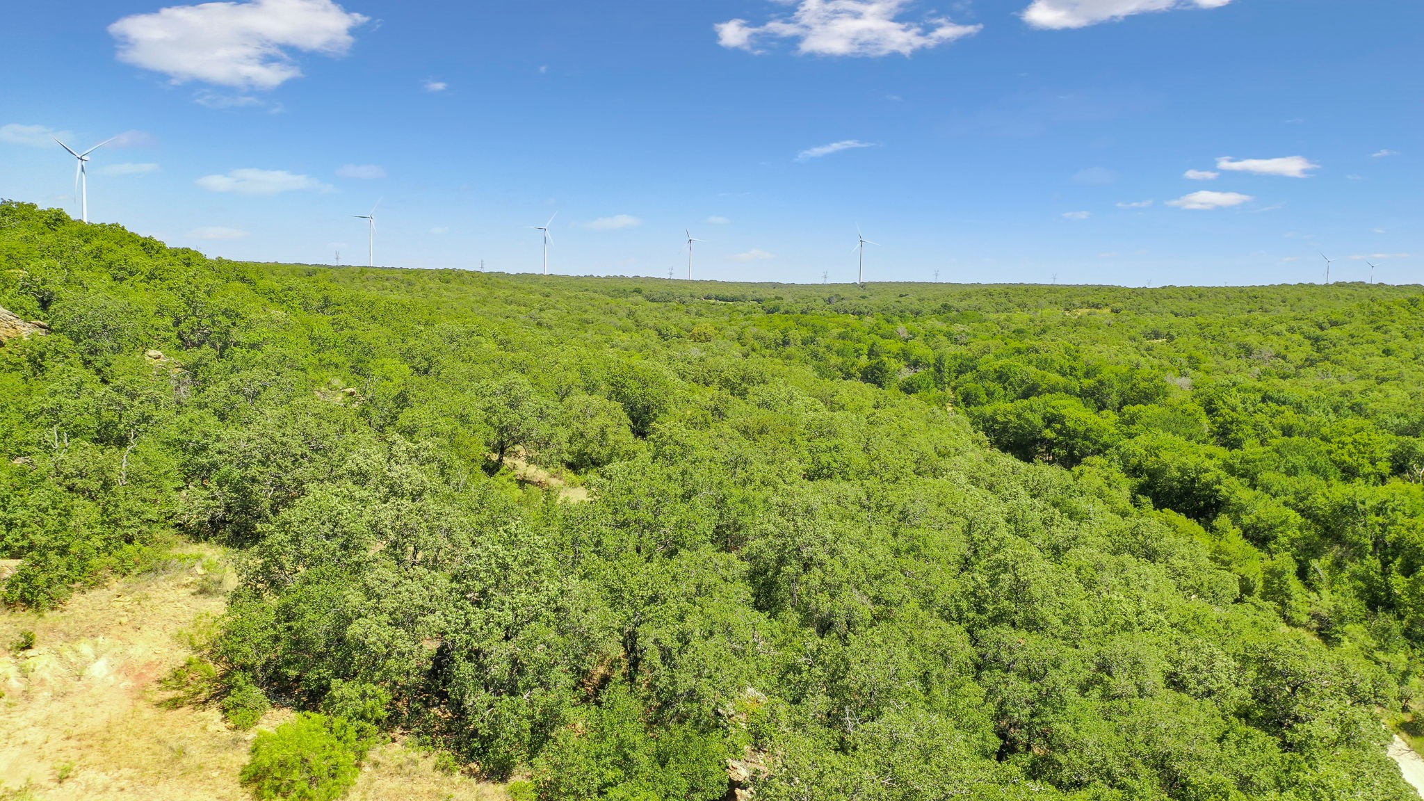 Tbd Armstrong Lane Bryson TX 76427
