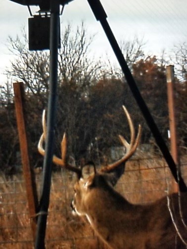 Tbd Armstrong Lane Bryson TX 76427