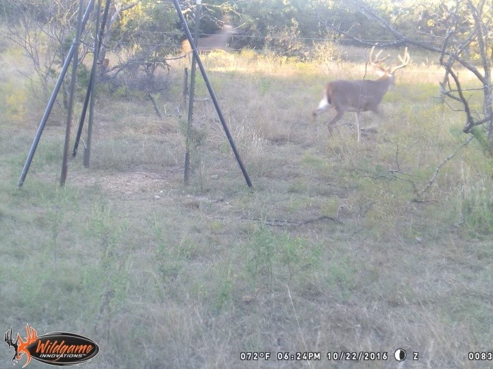 Tbd Armstrong Lane Bryson TX 76427
