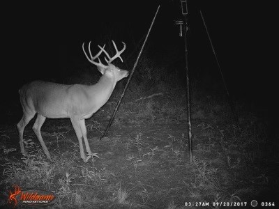 Tbd Armstrong Lane Bryson TX 76427