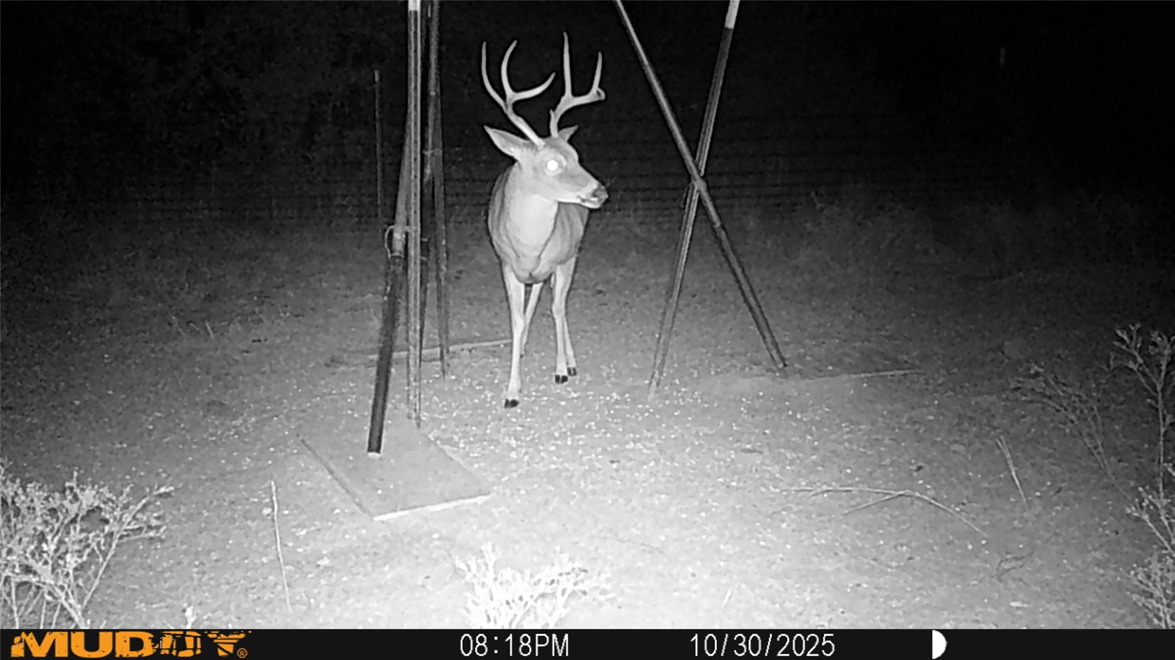 Tbd Armstrong Lane Bryson TX 76427