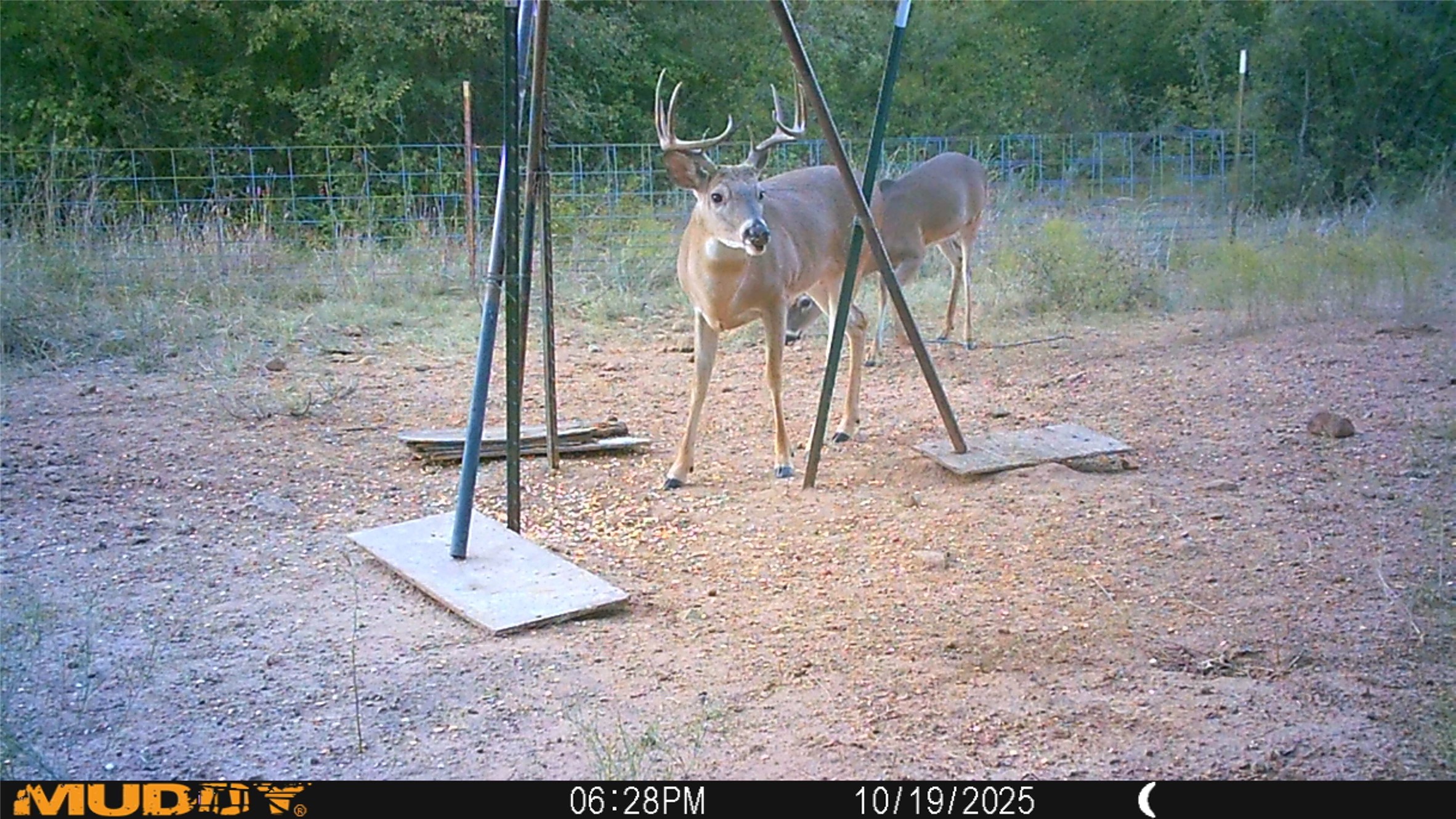 Tbd Armstrong Lane Bryson TX 76427