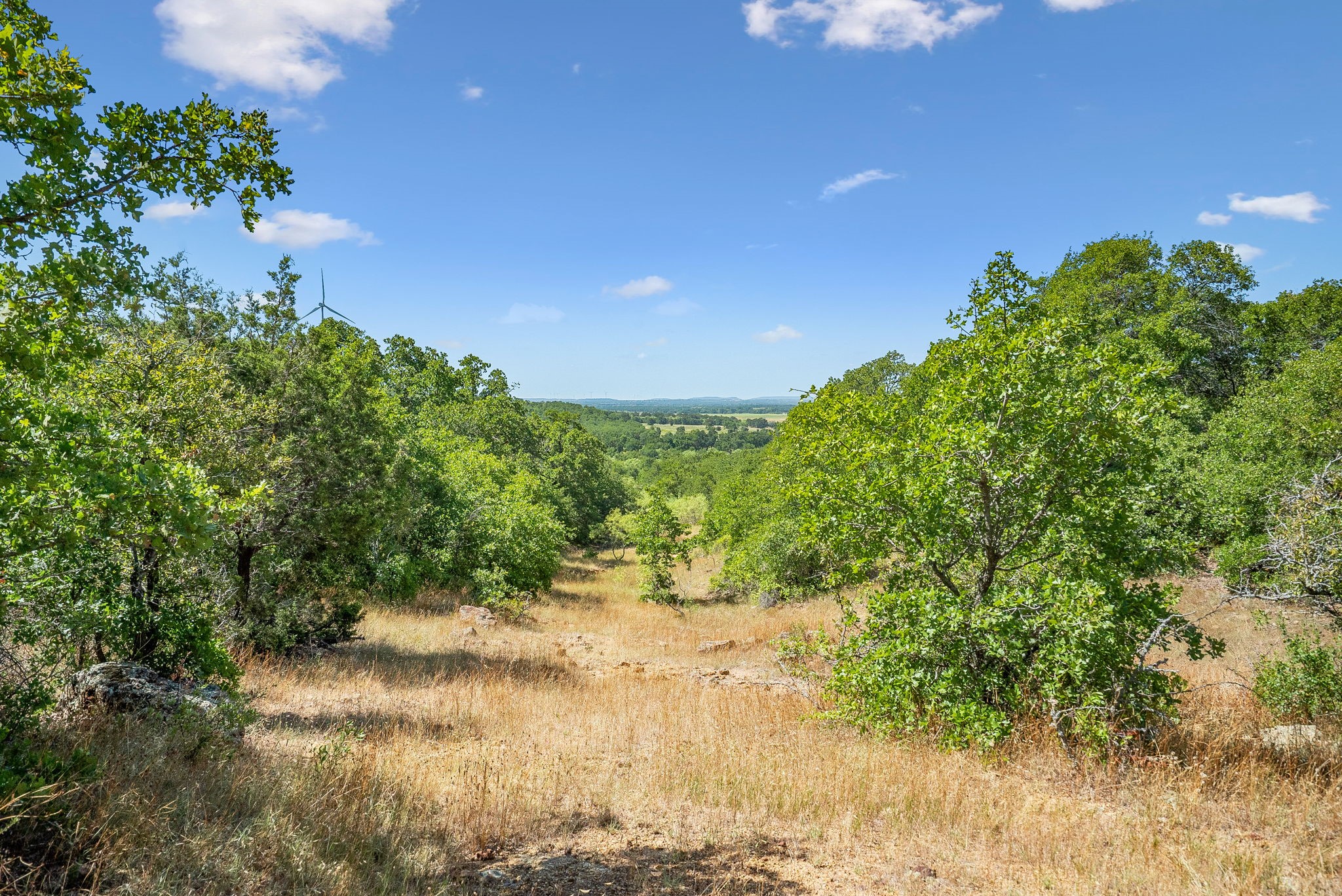 Tbd Armstrong Lane Bryson TX 76427