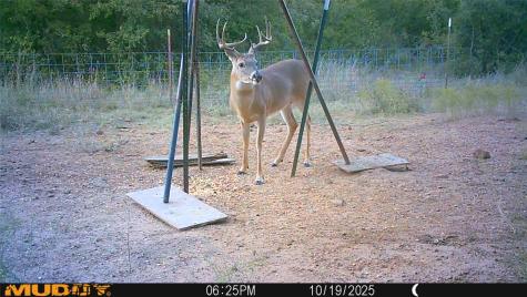 TBD Armstrong Lane Bryson TX 76427