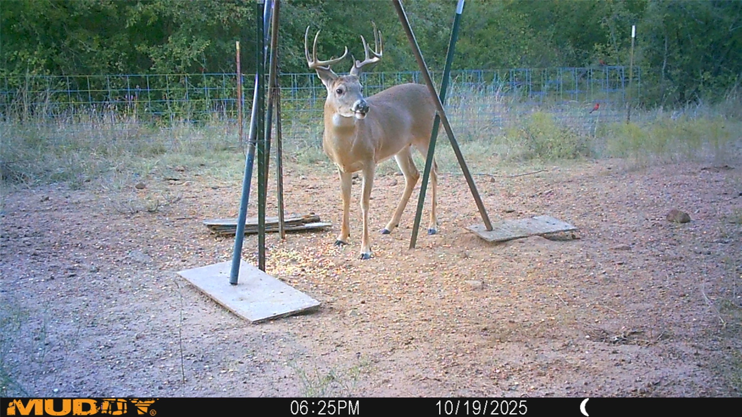 Tbd Armstrong Lane Bryson TX 76427