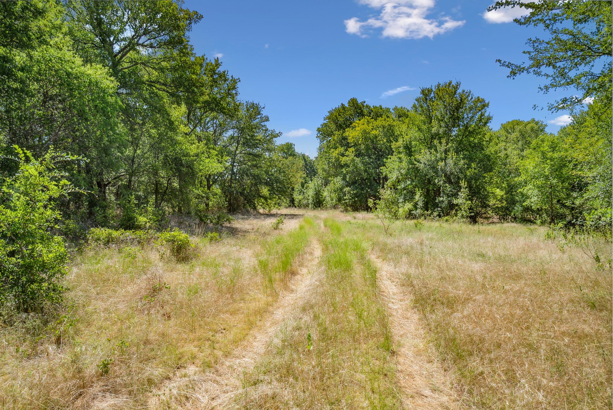 Tbd Armstrong Lane Bryson TX 76427